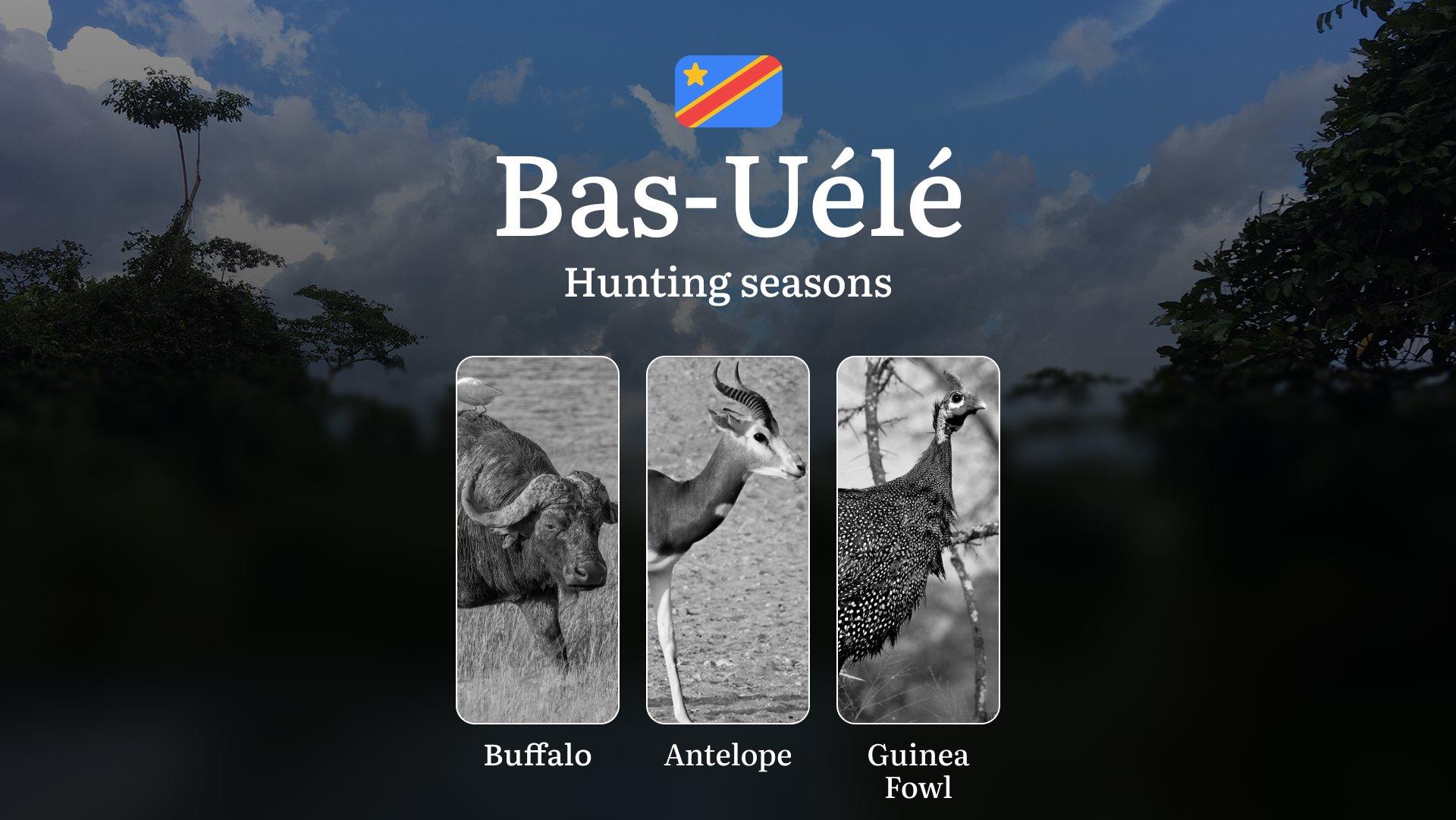 Seasonal Hunting Periods in Bas-Uélé: Seasonal Game Patterns, Licensing Rules, Documents, and Hunting Closures