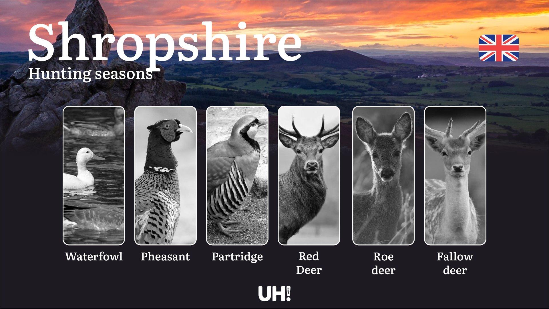 Shropshire Hunting: Season Dates, Game Activity Patterns and License Requirements for Regional Hunters