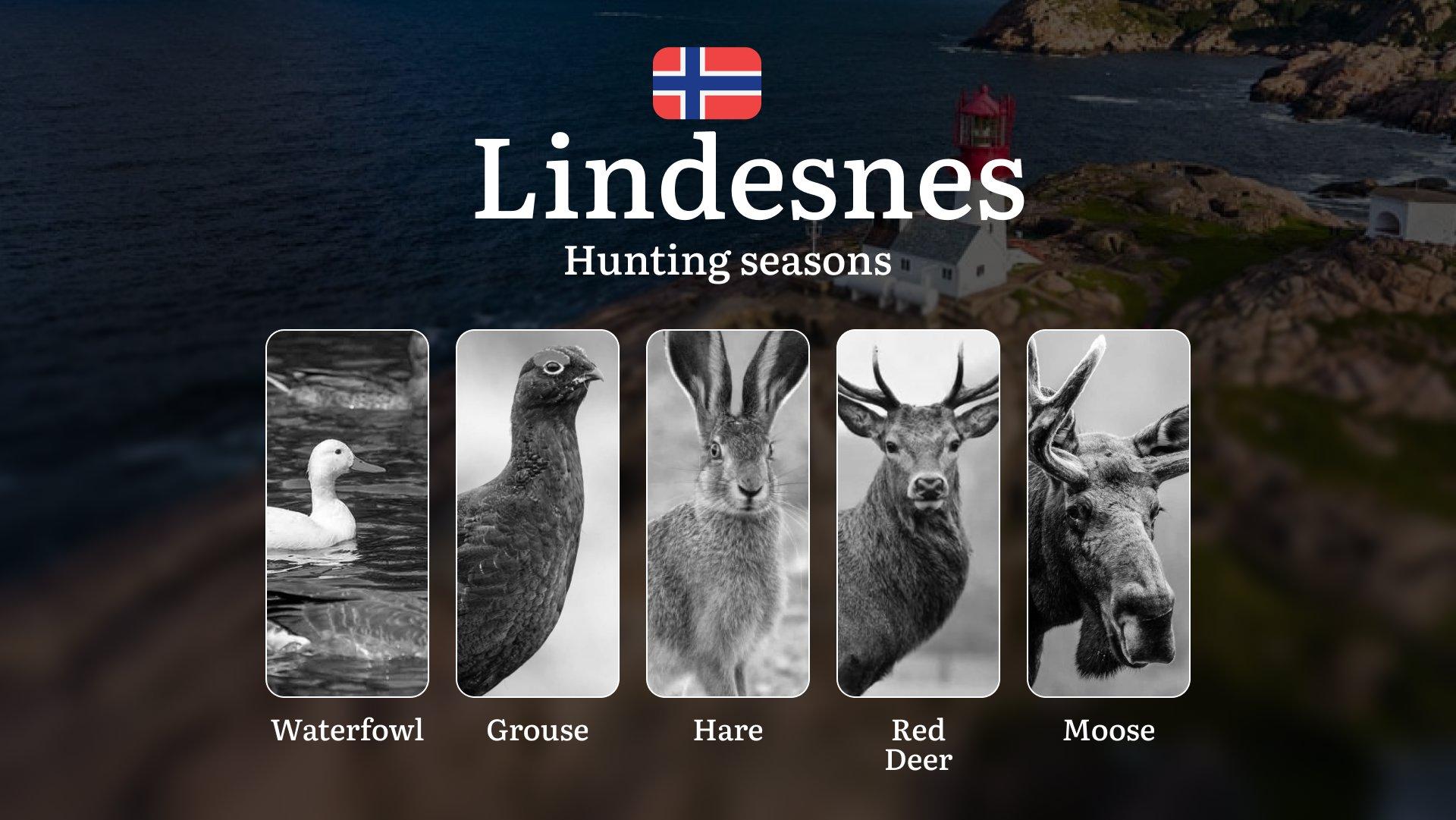 Hunting Dates in Lindesnes: Seasonality of Hunting, Timing and Regulations, Hunting Permits, Restrictions and Prohibitions