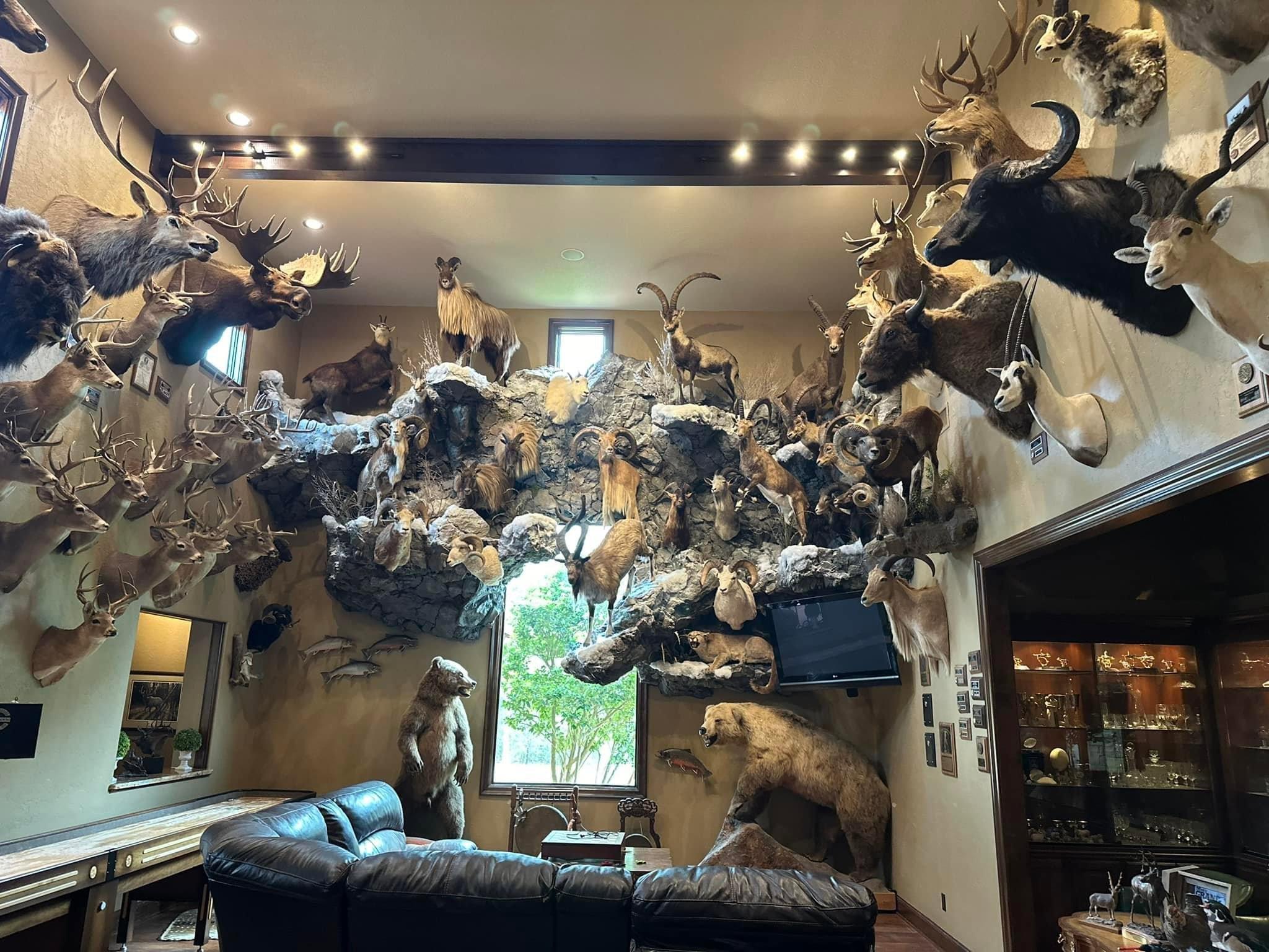 New trophy room additions!!