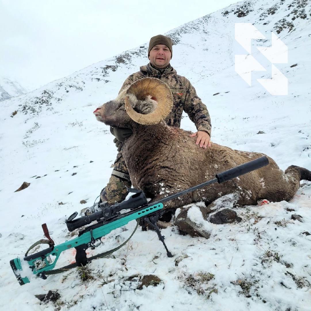 ❄️ Jakutska bighorn ovca