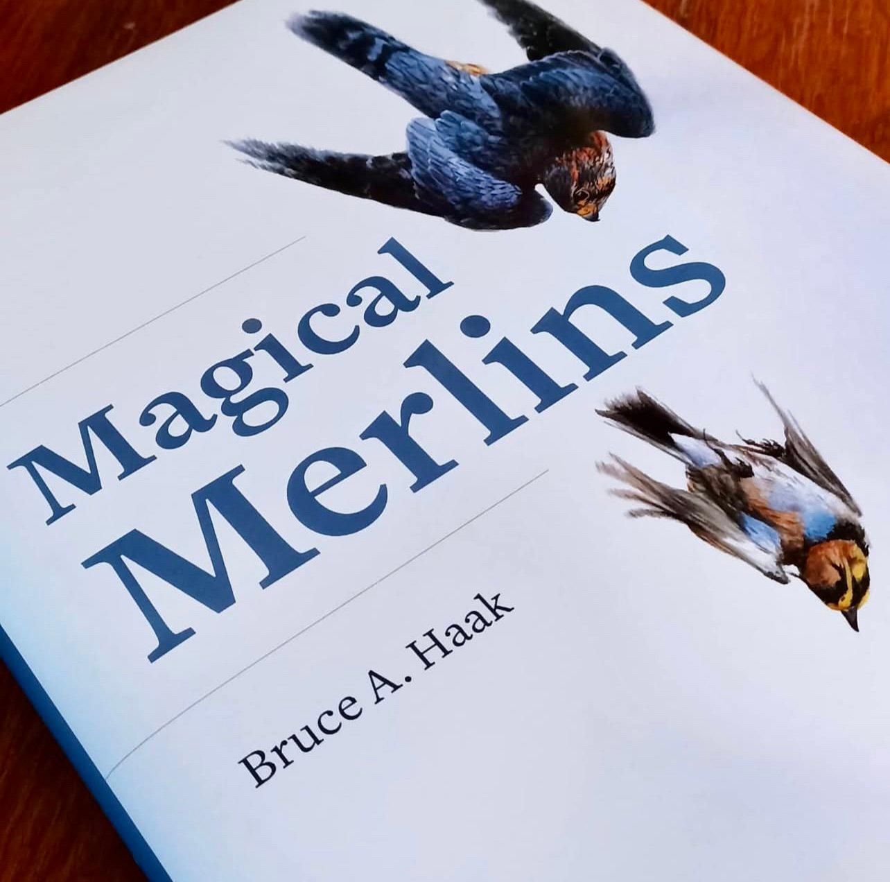 Falconry Books and Documentaries — Essential Reads, History, and Must-Watch Films for Hunters and Falconers