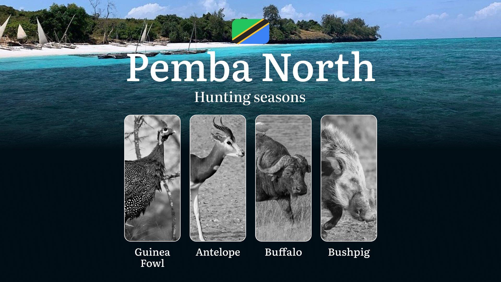 Hunting Calendar for Pemba North: Prime Times for Big and Small Game, Restricted Areas, Regulations and Exemptions, Obtaining Your Hunting Permit, Equipment, Locations, and Optimal Timing