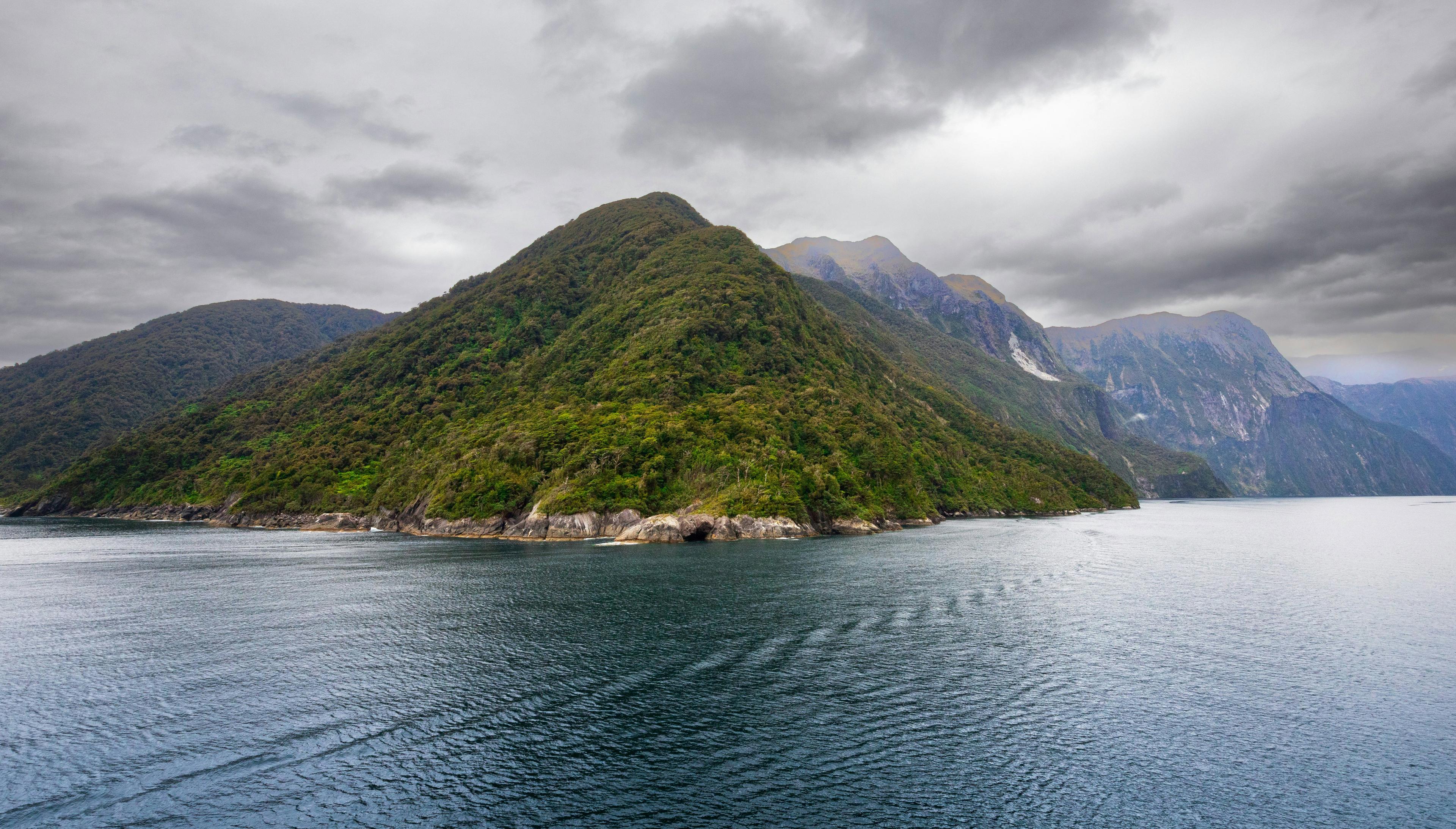Manawatu-Wanganui hunting tips for first-time explorers, wildlife hunting seasons in the area and interesting facts
