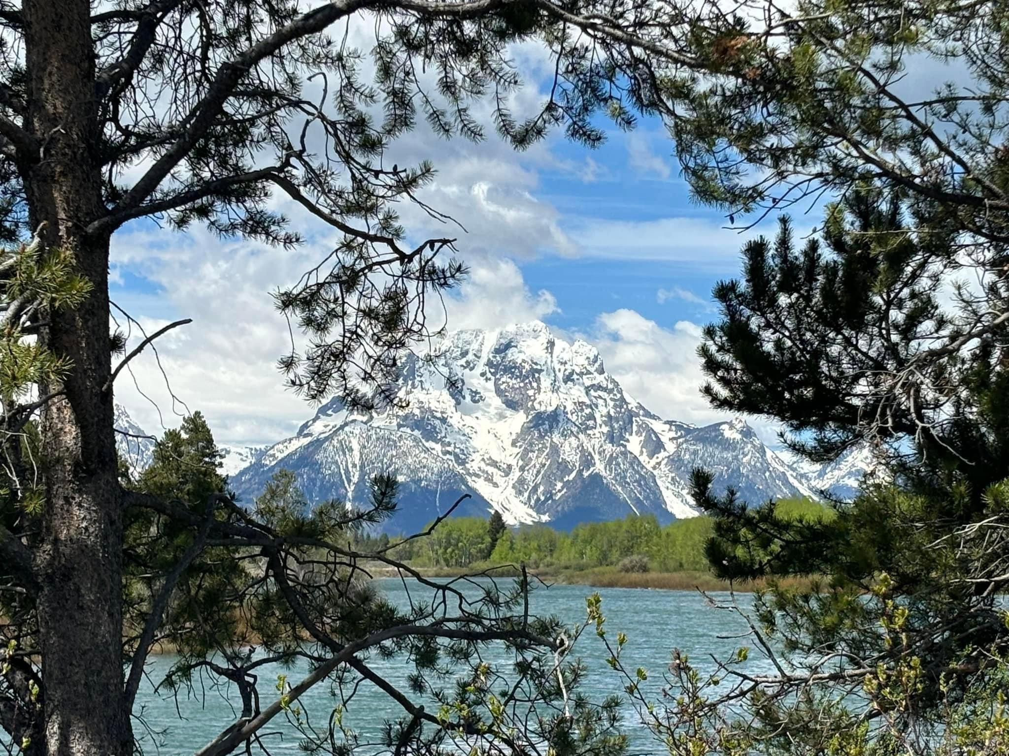 A few pictures from our last week’s trip to Grand Teton and Yellowstone