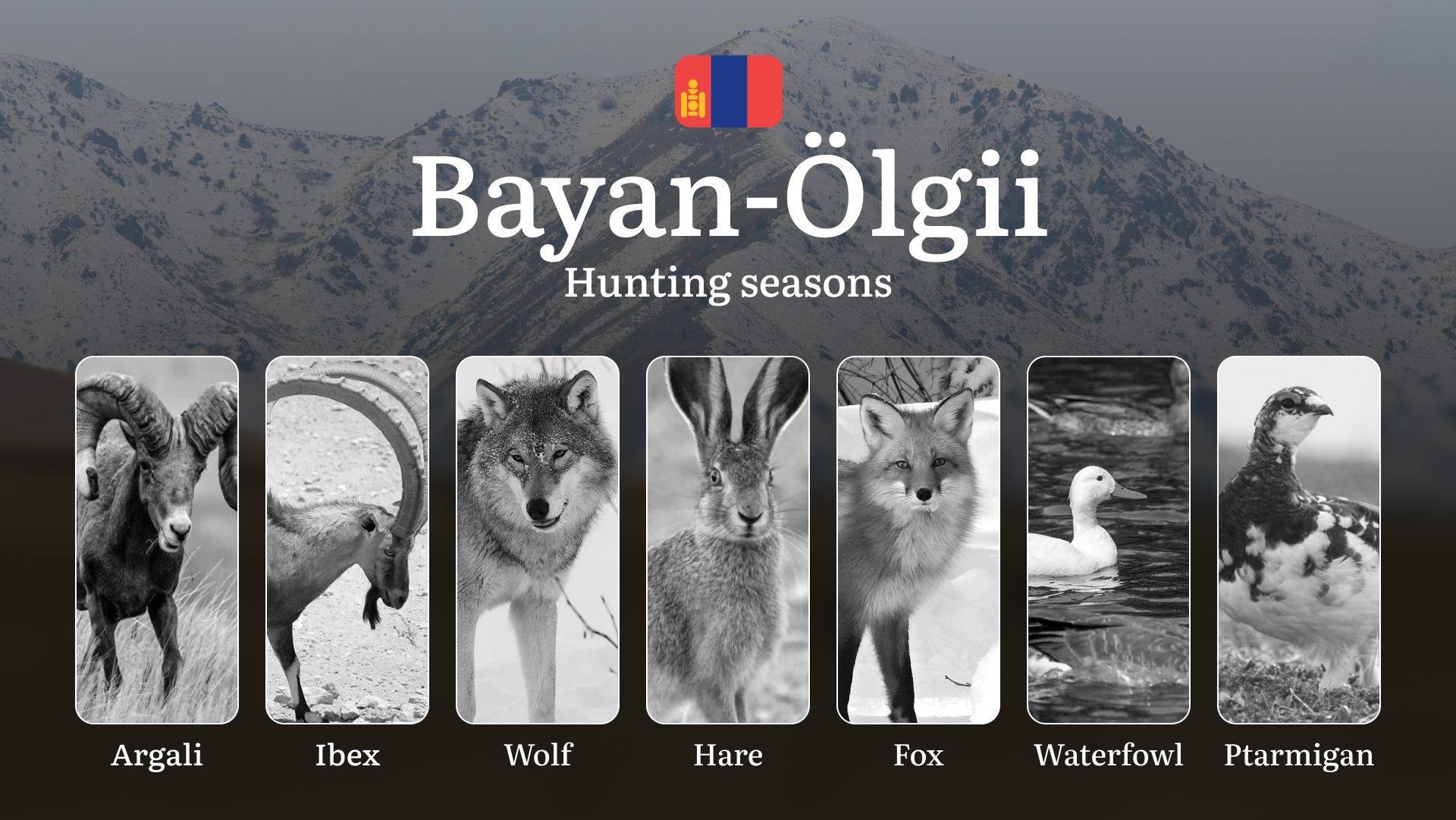 Hunting Periods and Permits in Bayan-Ölgii Province: A Detailed Look at Game Movement Throughout the Year, Seasonal Limits, and How to Apply for a Hunting License in the Area