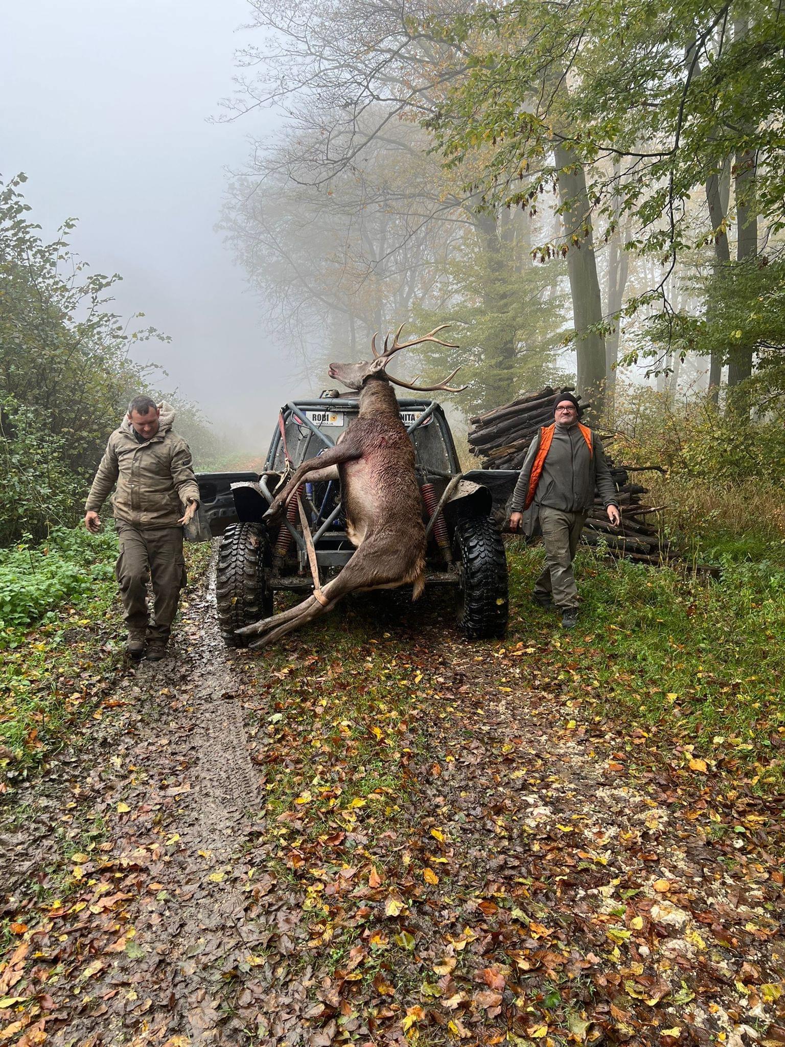 🇭🇺🐗🦌🌿