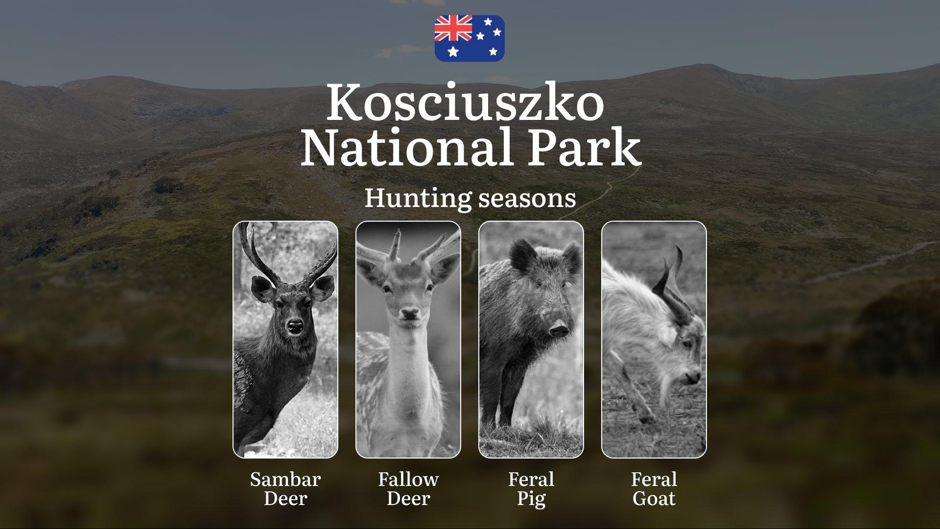 Alpine Pursuits: Kosciuszko National Park Hunting – When the High Country Yields Its Best Trophies
