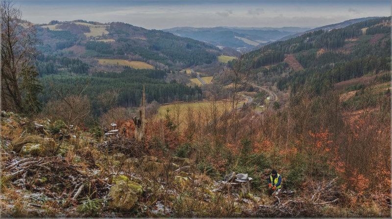 In the land of black knights (wild boar) 🐗