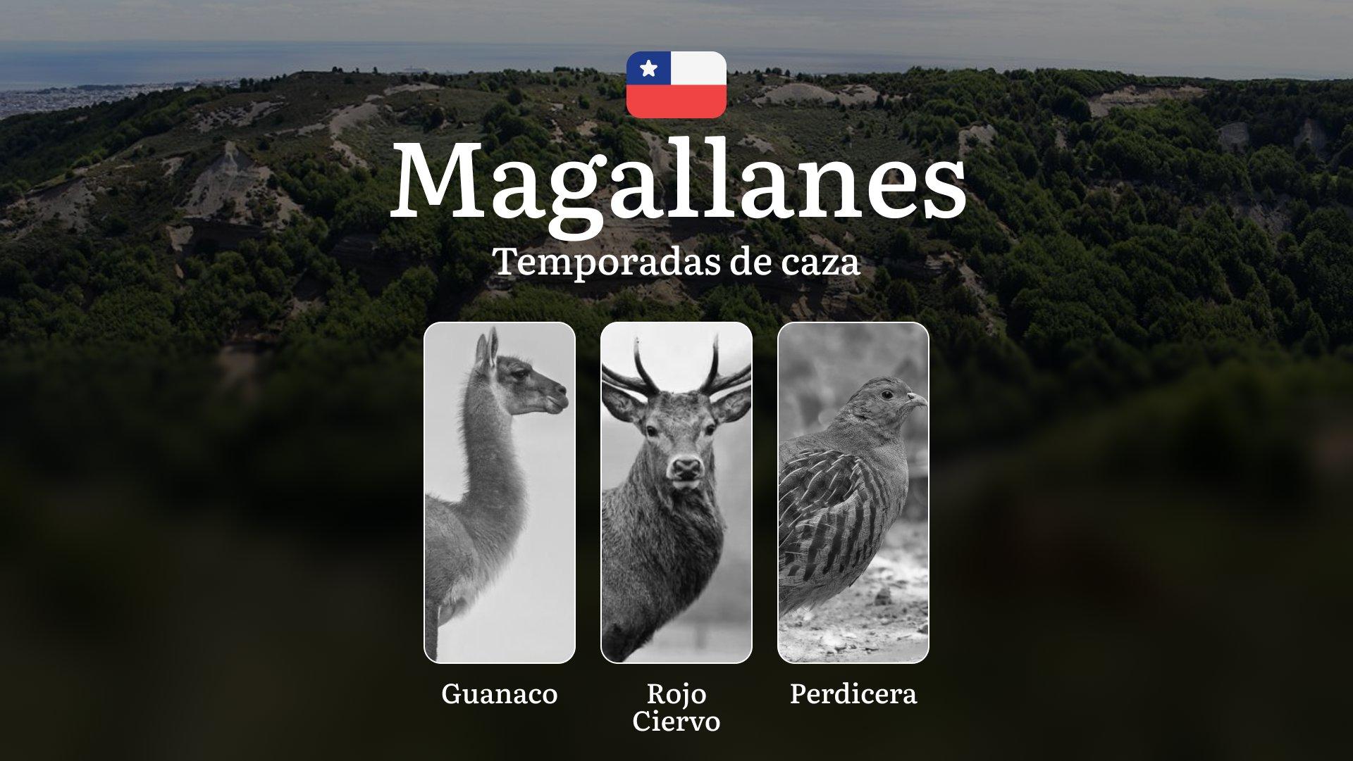 Región de Magallanes Temporadas de caza en Chile: épocas, permisos y reglas, restricciones, límites y especies protegidas