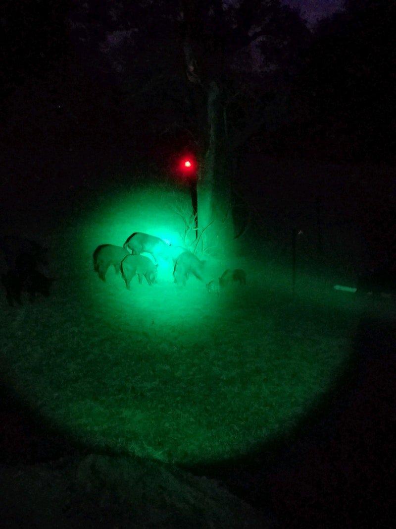 Night hunting presents unique challenges.