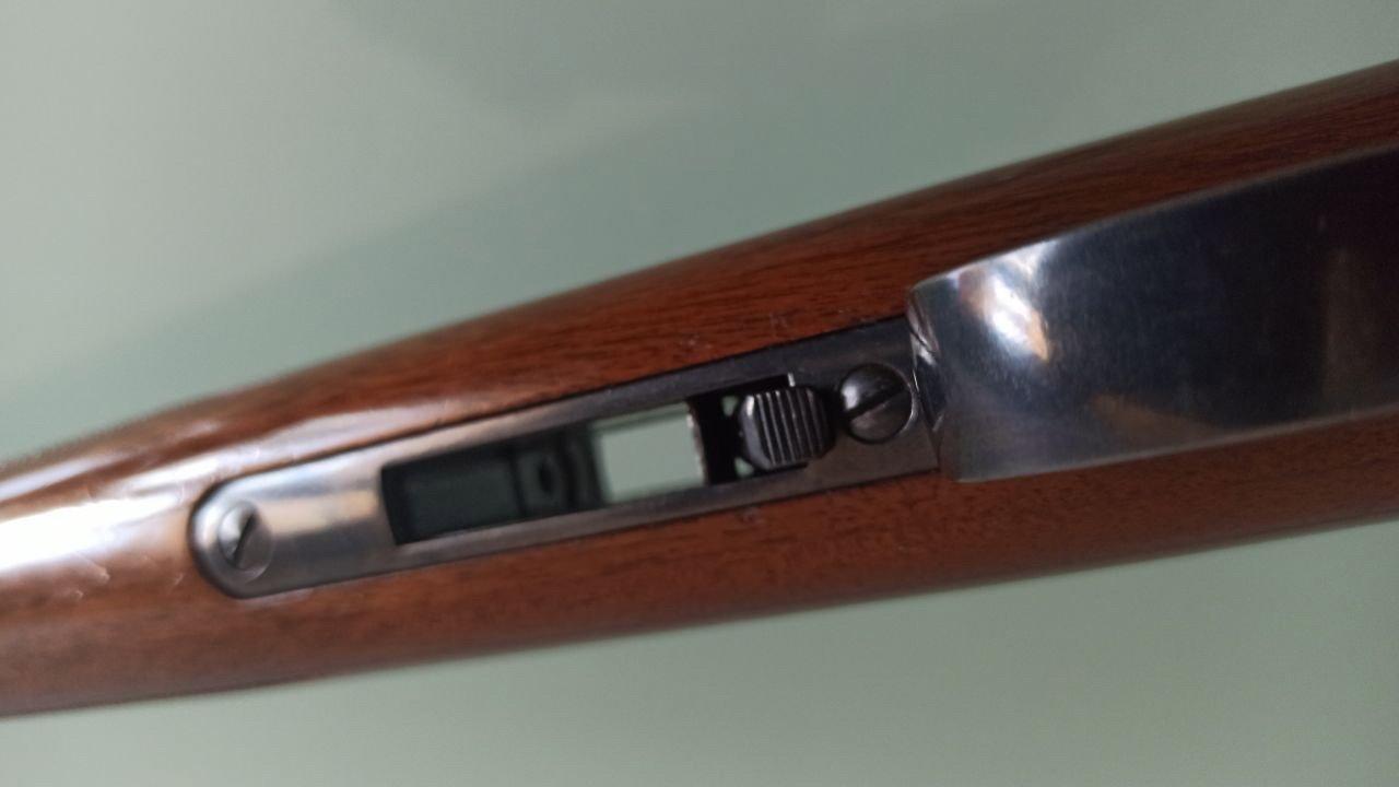 Anschutz 1516 .22 WMR: A Hunter's Honest Review