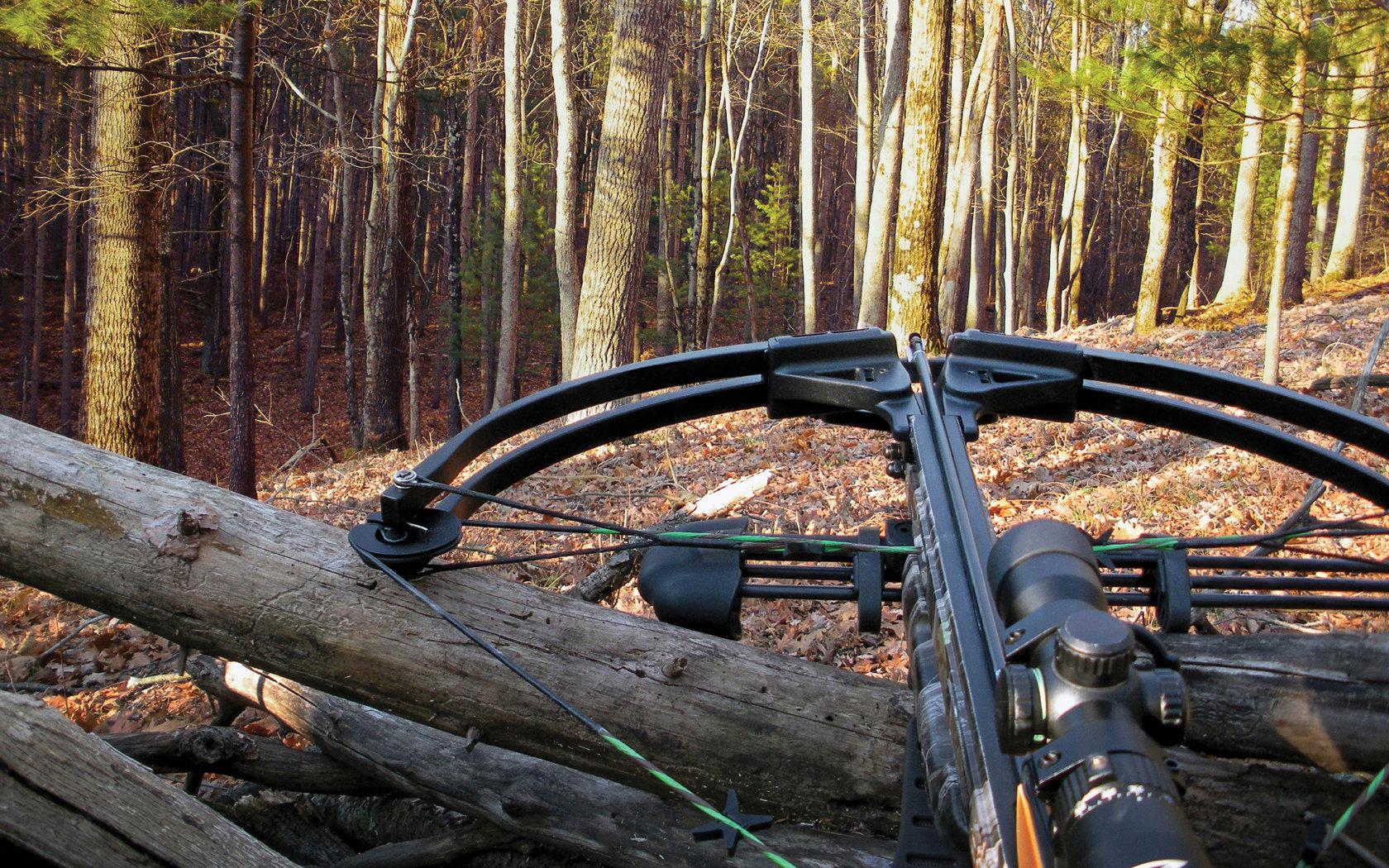 Bowhunting (or bow hunting) is the practice of hunting game animals by archery.