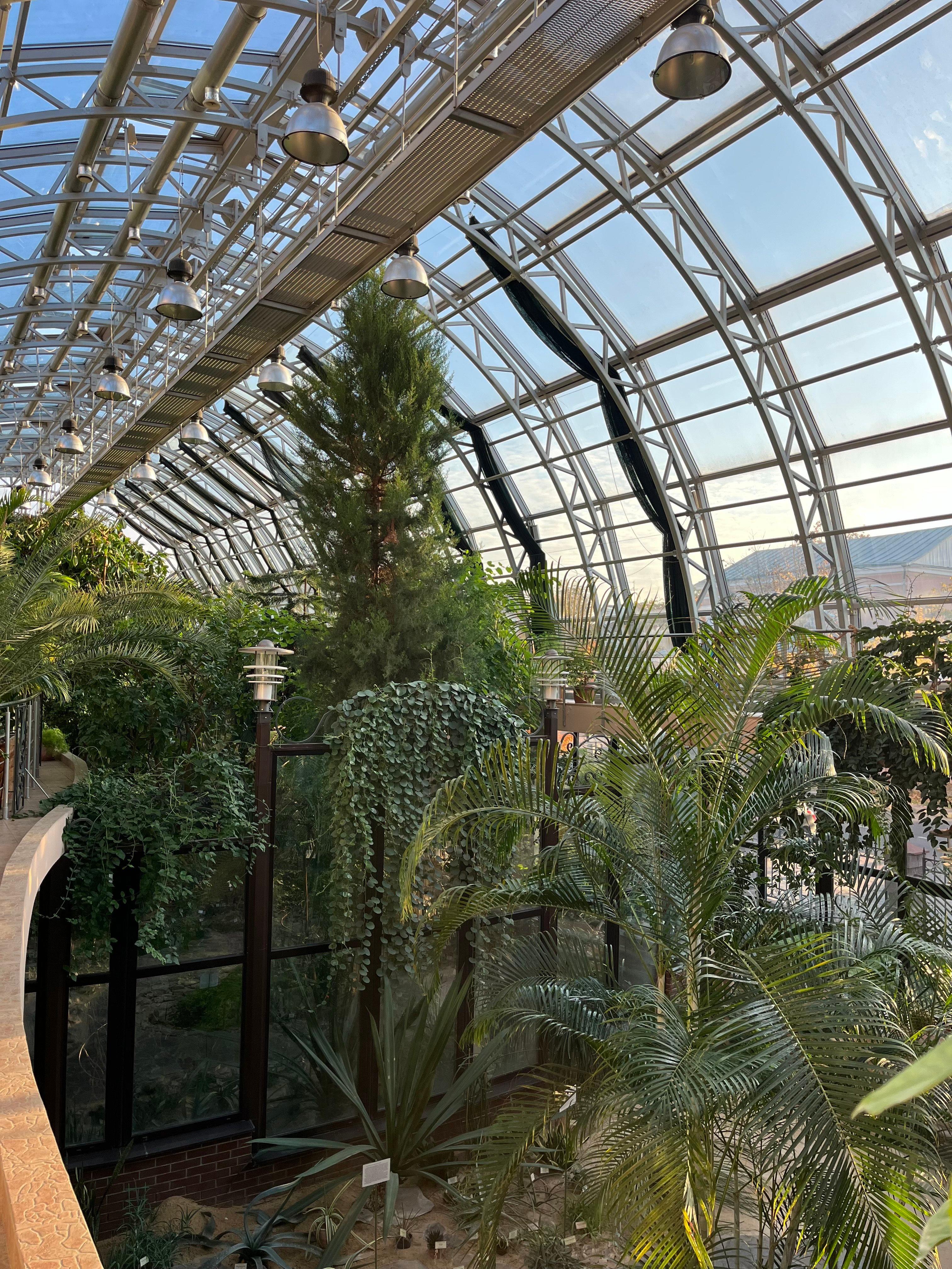 In Brest, near the old building of the Pushkin State University, there is an educational and methodological complex called "Winter Garden".