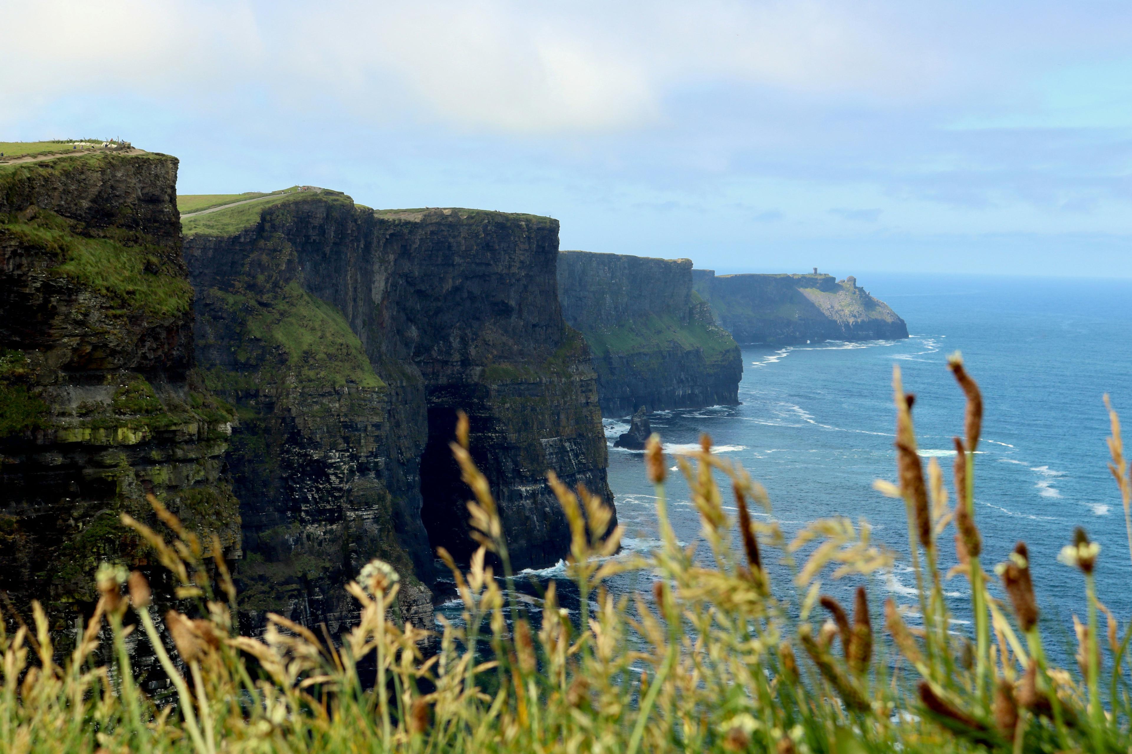 Clare Woodcock Hotspots in Munster, Ireland: A Hunter’s Guide.