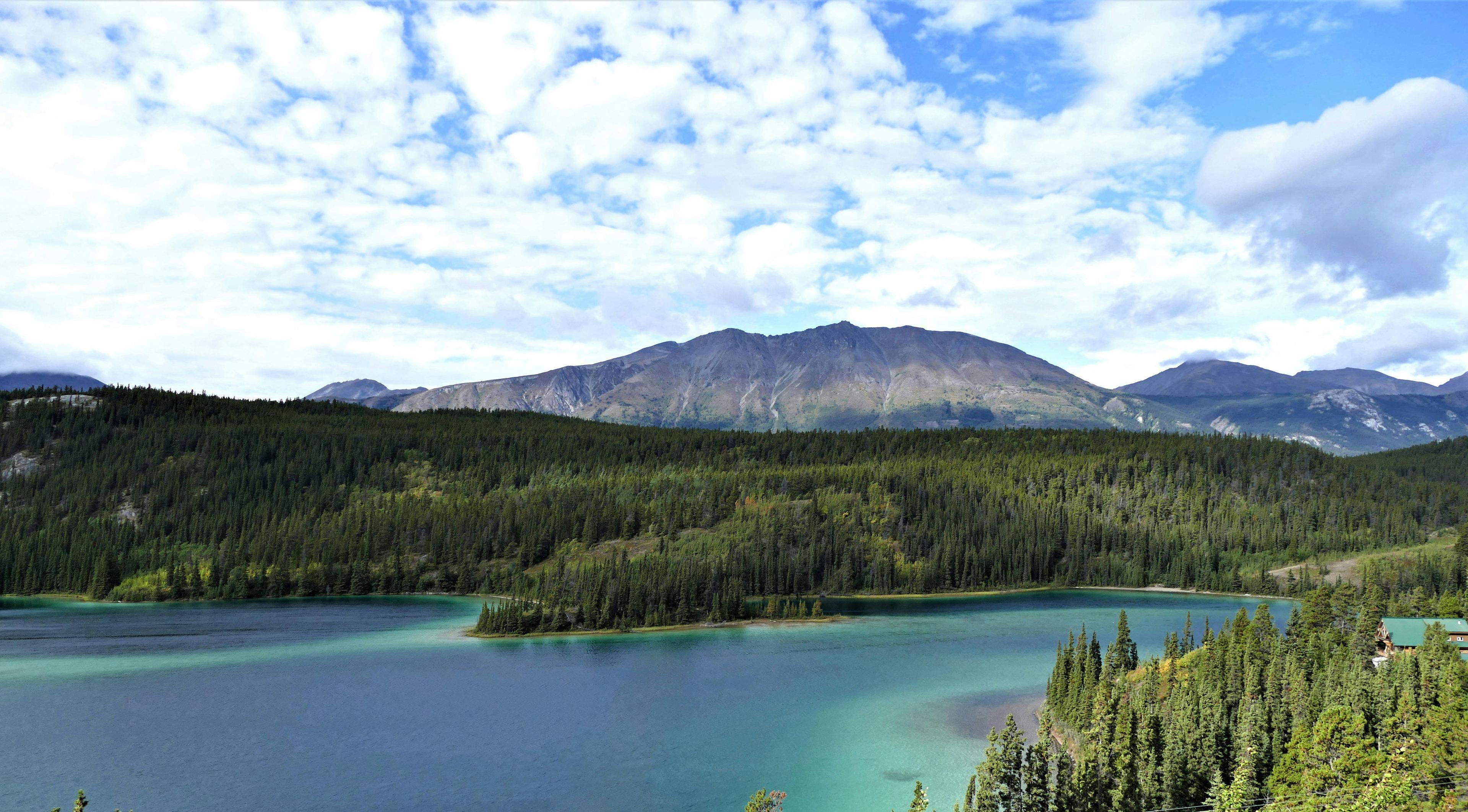 HUNTING IN THE YUKON (Y.T.): UNCOVERING TYPES OF ANIMALS, DEMOGRAPHICS, ASSOCIATIONS AND CLUBS, LAWS AND HUNTING SEASONS