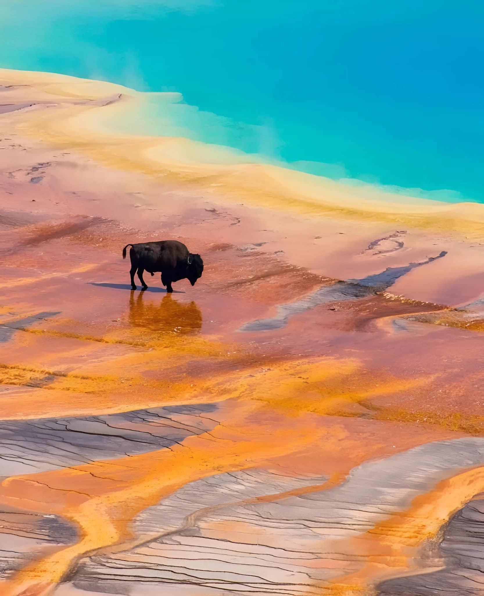 Grand Prismatic Spring in Yellowstone National Park, Wyoming