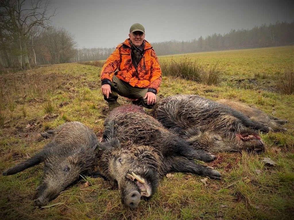 La chasse dans l’AISNE: Territoires boisés, espèces variées, traditions rurales et encadrement cynégétique dans ce département au cœur des Hauts-de-France