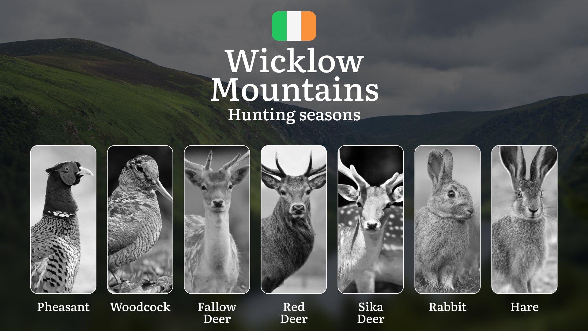 From Autumn Stags to Winter Woodcock: Decoding WICKLOW'S Hunting Calendar, Restricted Zones, and Expert Strategies for Mountain Game