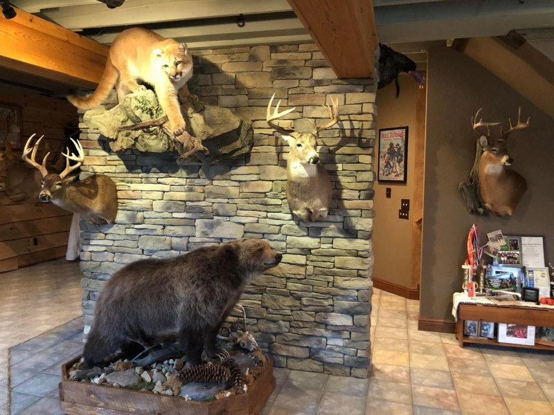 Dans la symphonie de la nature, la saison de la chasse est l'un des mouvements les plus excitants.