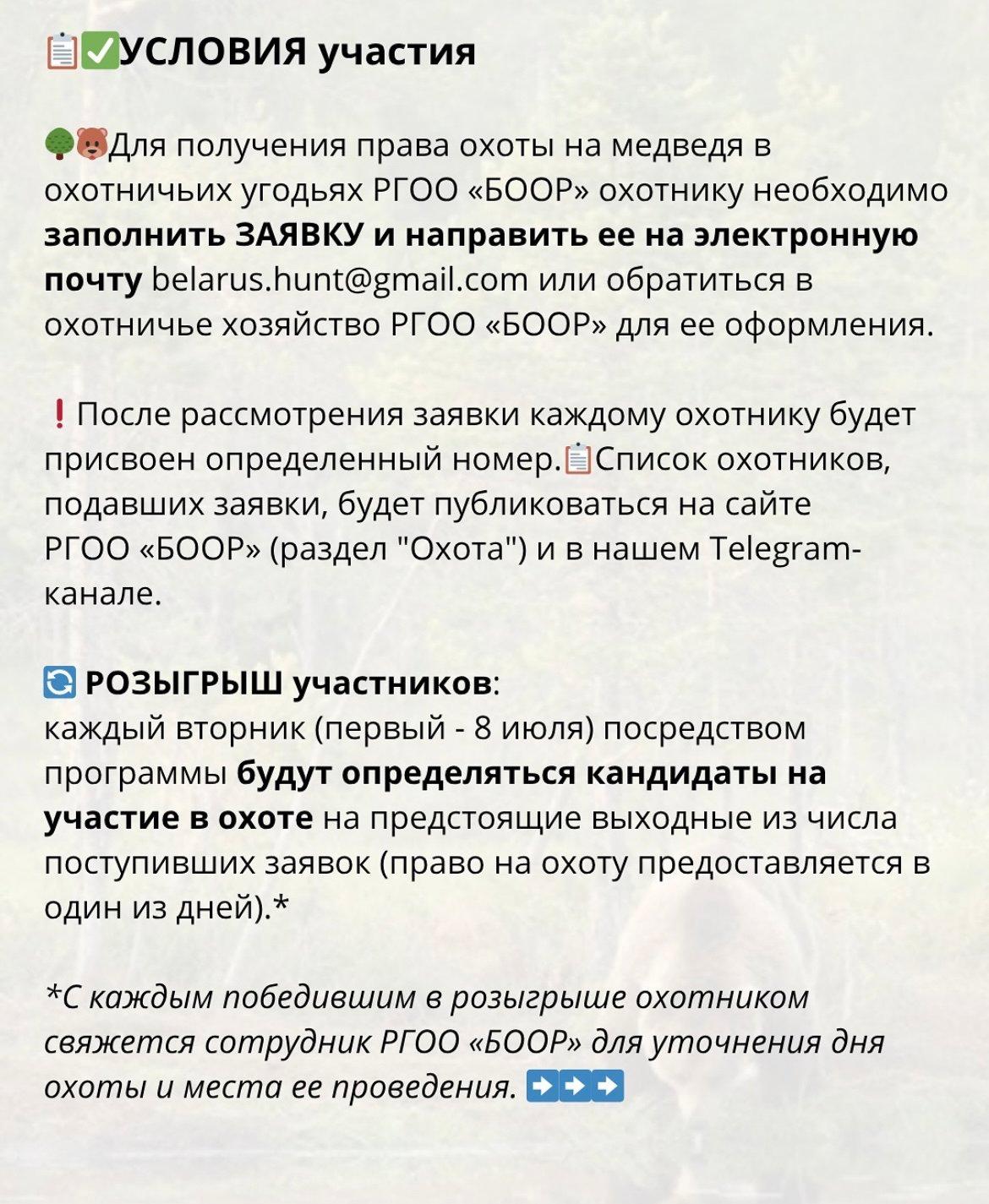 Организация охоты на МЕДВЕДЯ