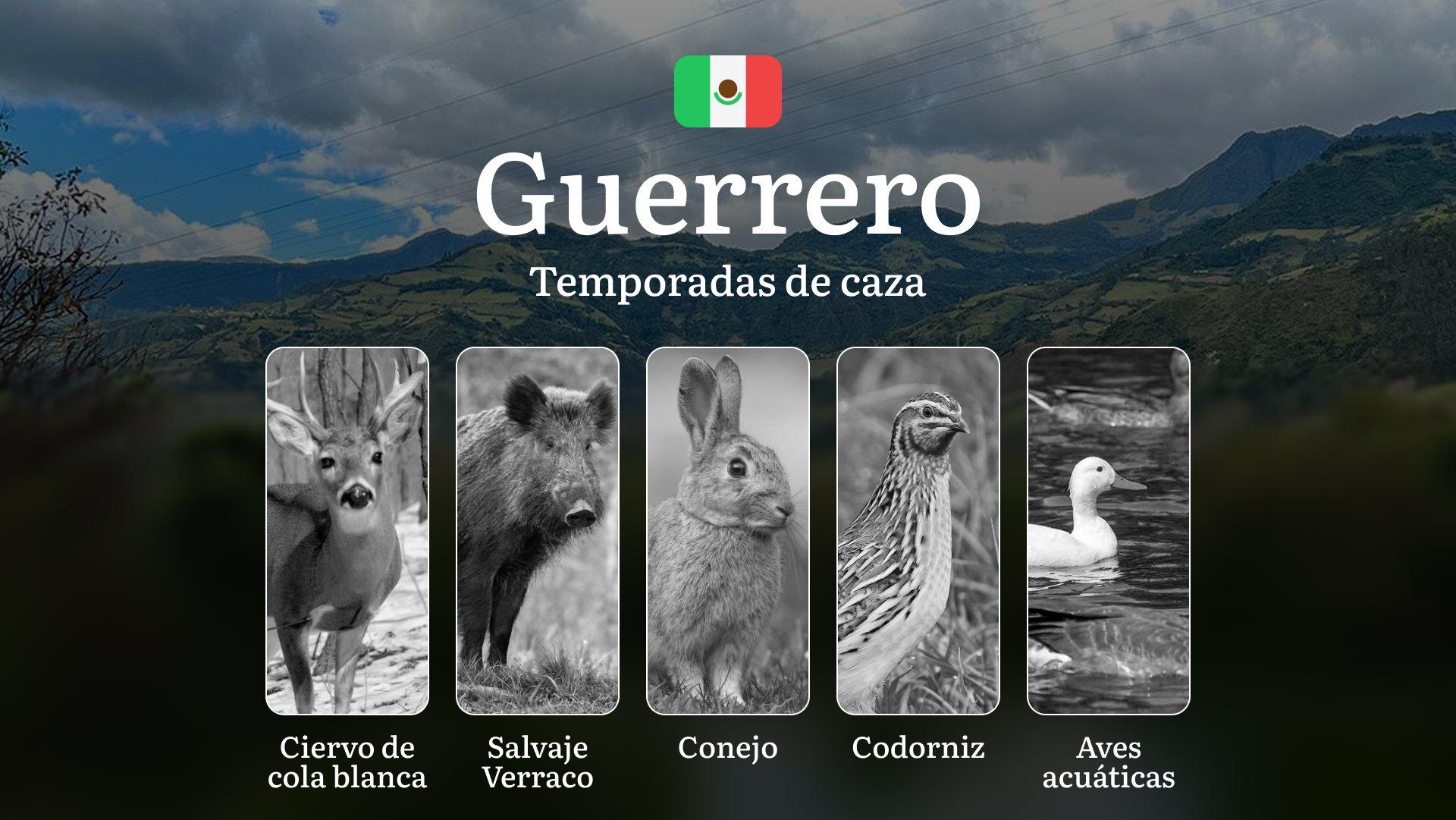 Temporadas y períodos de Caza en Guerrero: Patrones Estacionales y Actividad Cinegética, Requisitos para la Obtención de Licencias en la Región