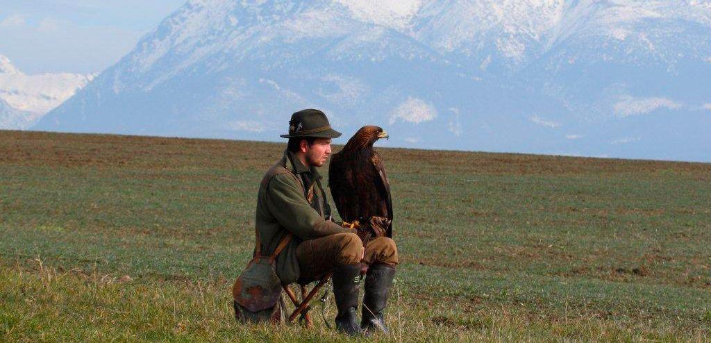 https://www.face.eu/2021/10/face-position-on-falconry-in-europe-adopted/