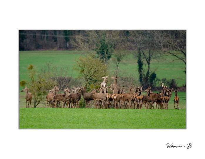 3/02/2024 dans l'Orne