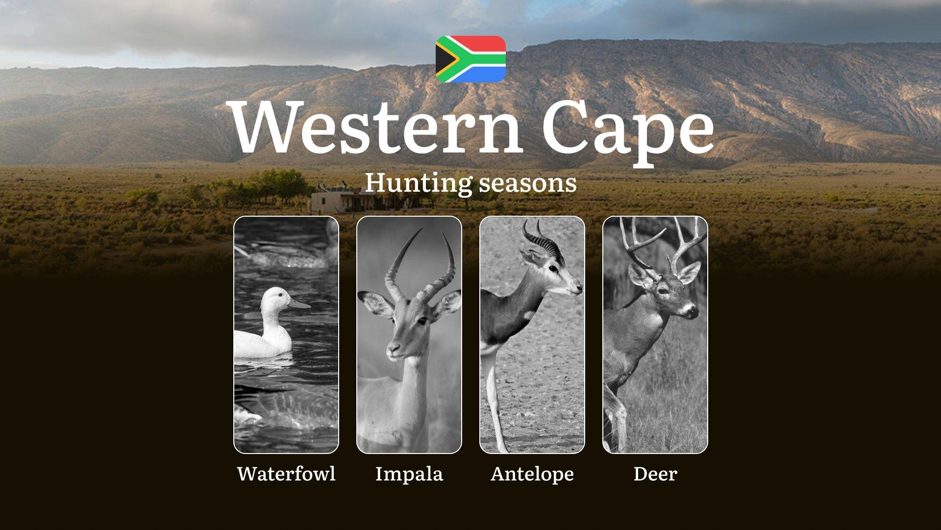 Hunting Dates in South Africa, Western Cape Region: Seasons and Periodas, Licensing, Regulations and Times for Hunting