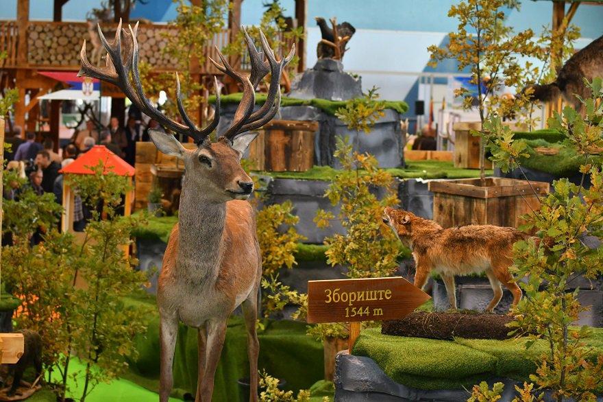 International Fair of Hunting and Fishing 2025: Serbia, Novi Sad, 24.09.2025-28.09.2025