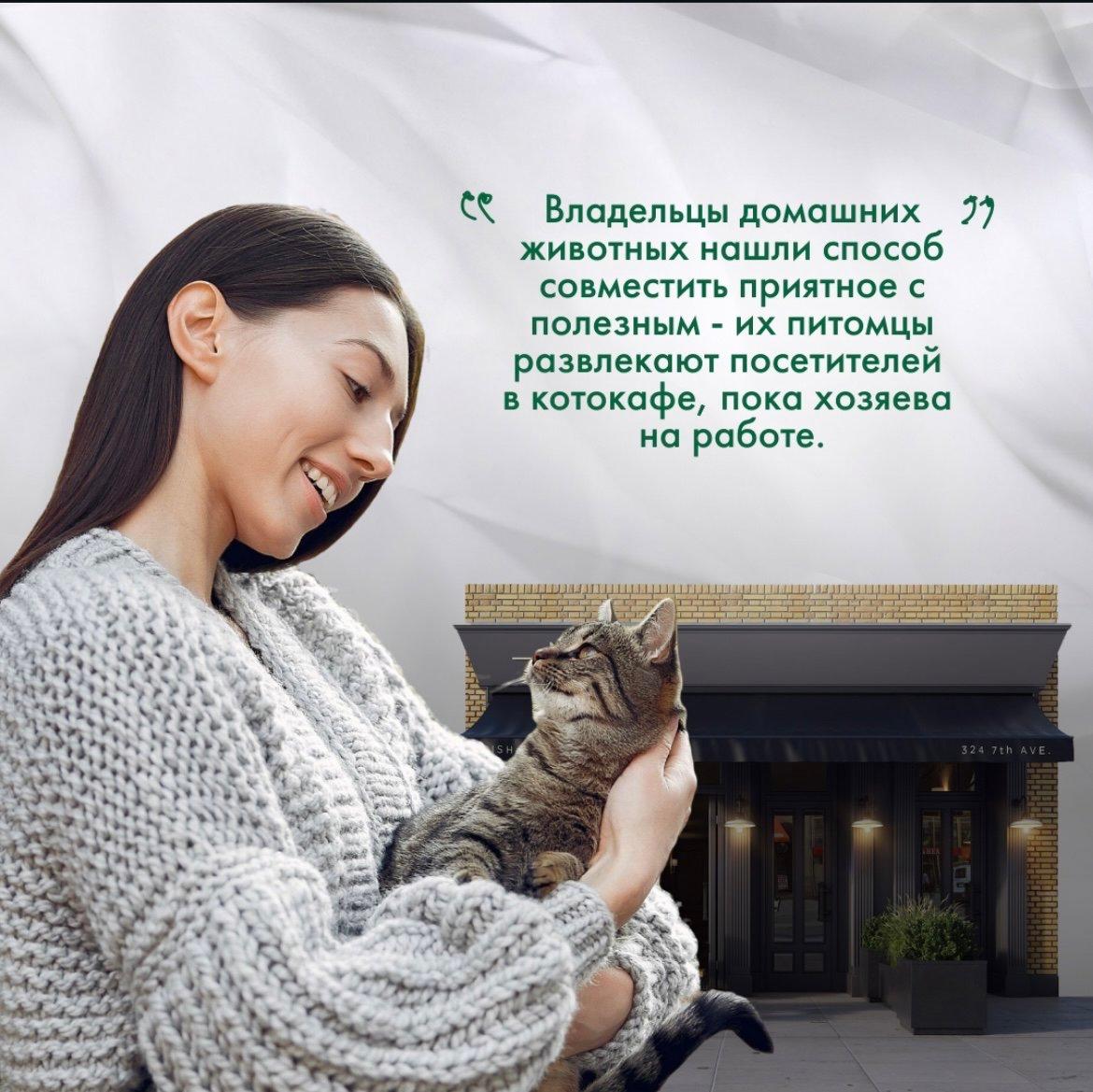 В Китае появился необычный тренд в сфере pet-friendly бизнеса!