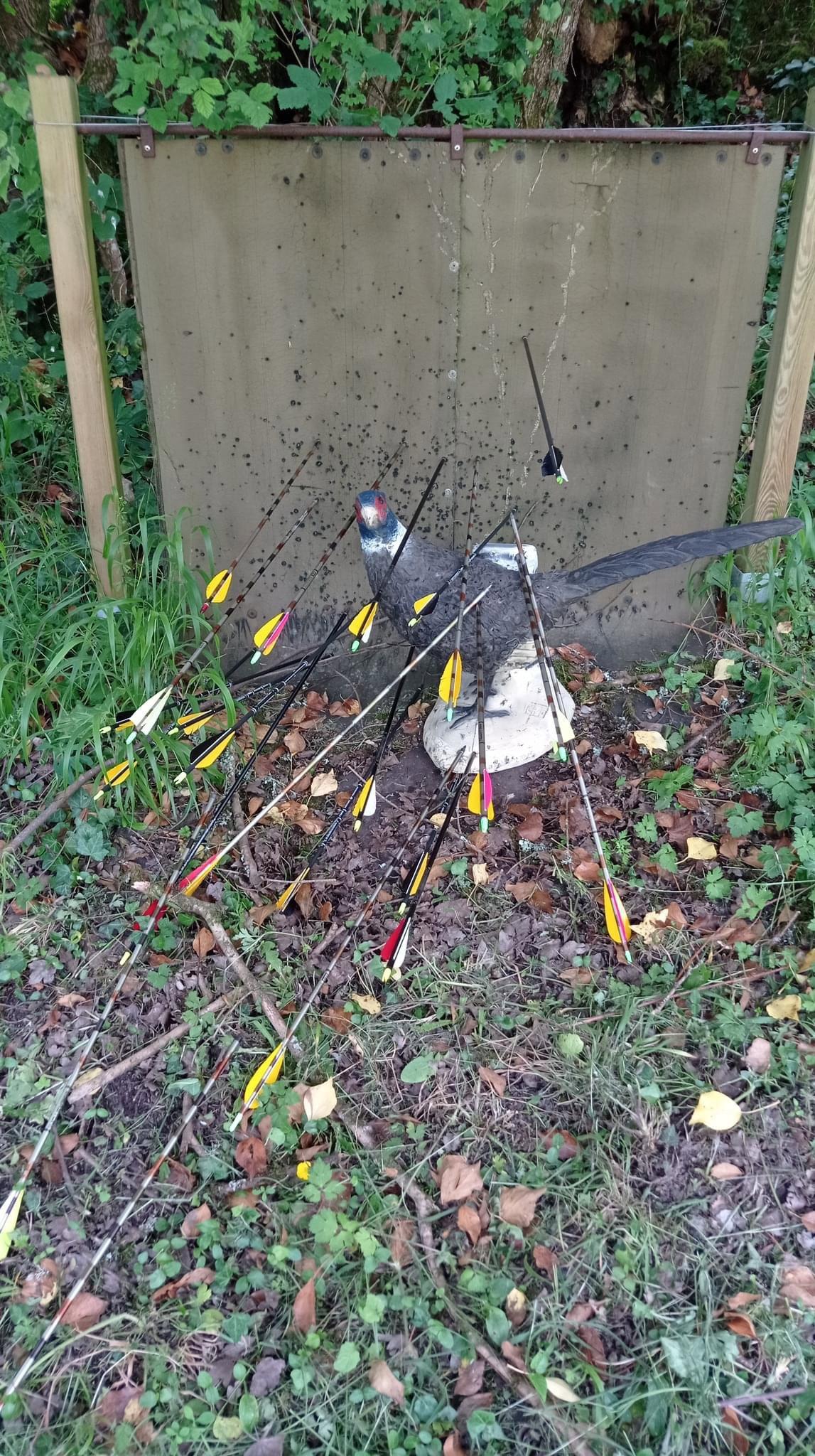 Samedi s'est déroulée la formation "Chasse à l'arc" à l'Ecole Chasse Nature de St Astier.