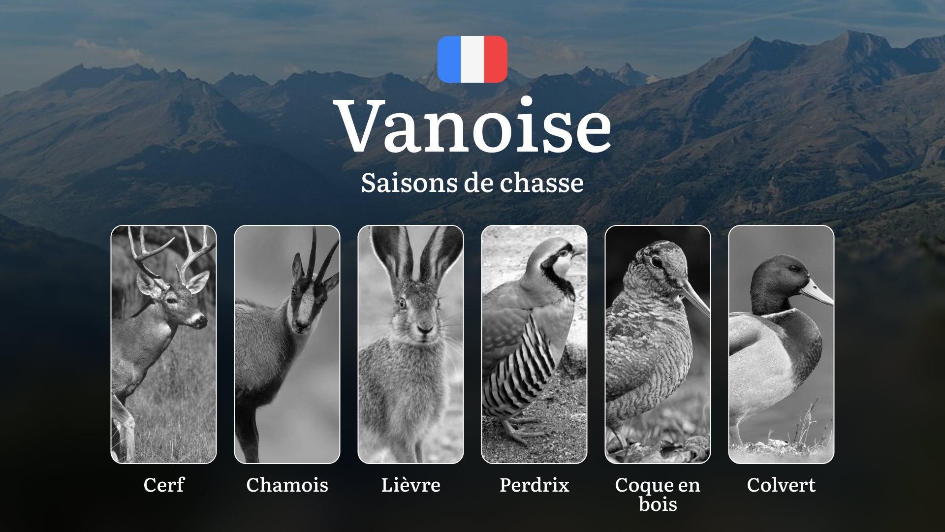 Saisons de Chasse en VANOISE: Dates Clés, Obtention des Permis, Réglementation Locale,  Zones Protégées et Stratégies Éprouvées