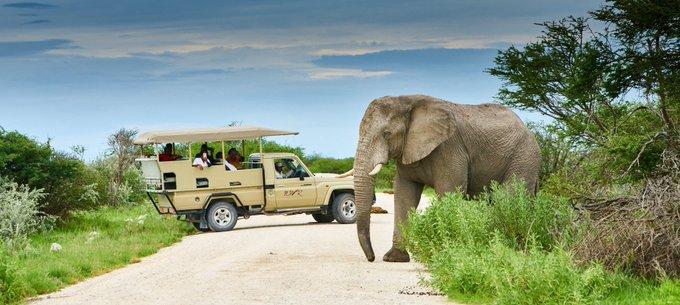 Namibia’s slaughtering wildlife for food consumption due to draught a solution or a way of cashing big from the rich lucrative hunting game?