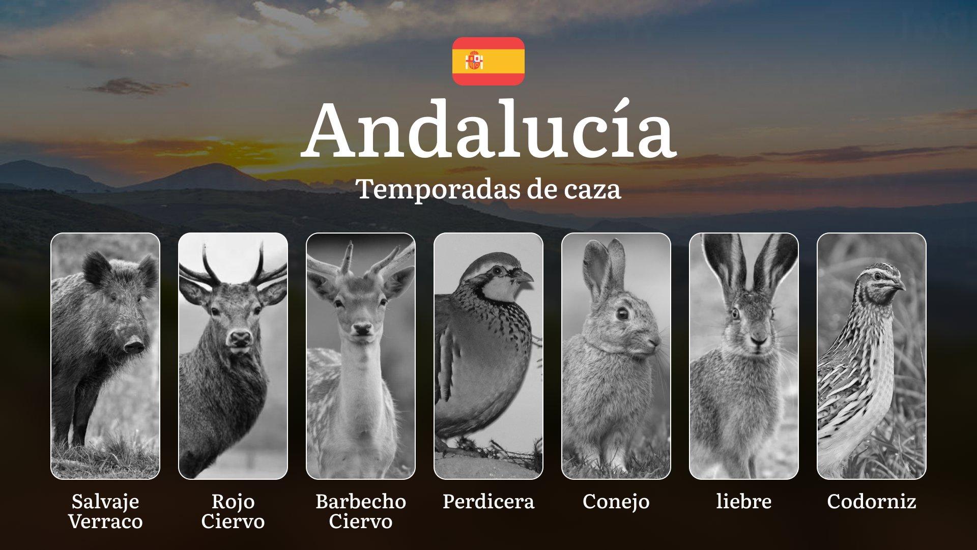 Temporadas de Caza en ANDALUCÍA: Temporadas y períodos de caza, Normativas, Épocas Clave y Licencias para una Práctica Legal y Exitosas