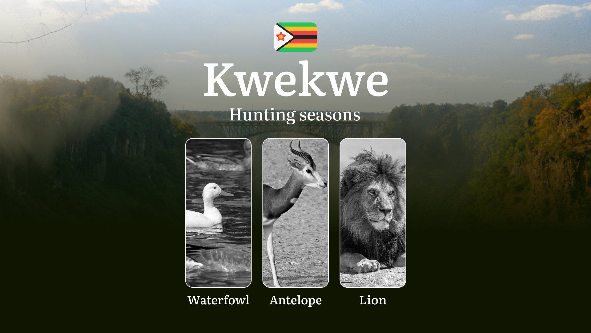 Hunting Seasons in Zimbabwe, the KWEKWE Region: Times and Dates, Restrictions and Prohibitions, Restrictions and Prohibitions on Hunting