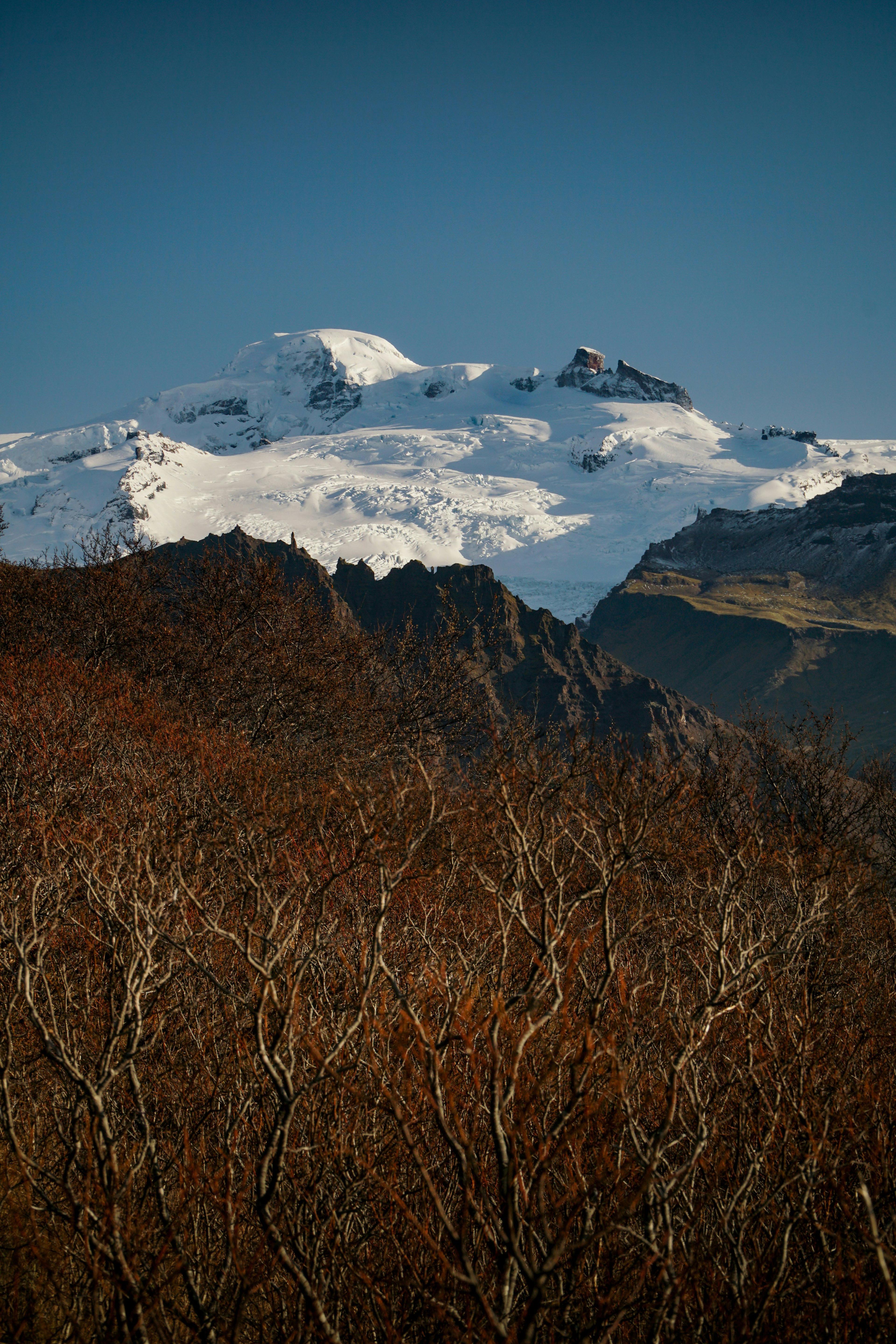 La Zona Austral de Chile es el último bastión para los cazadores aventureros: temporadas de caza, datos  poco conocidos y características de la caza en la región