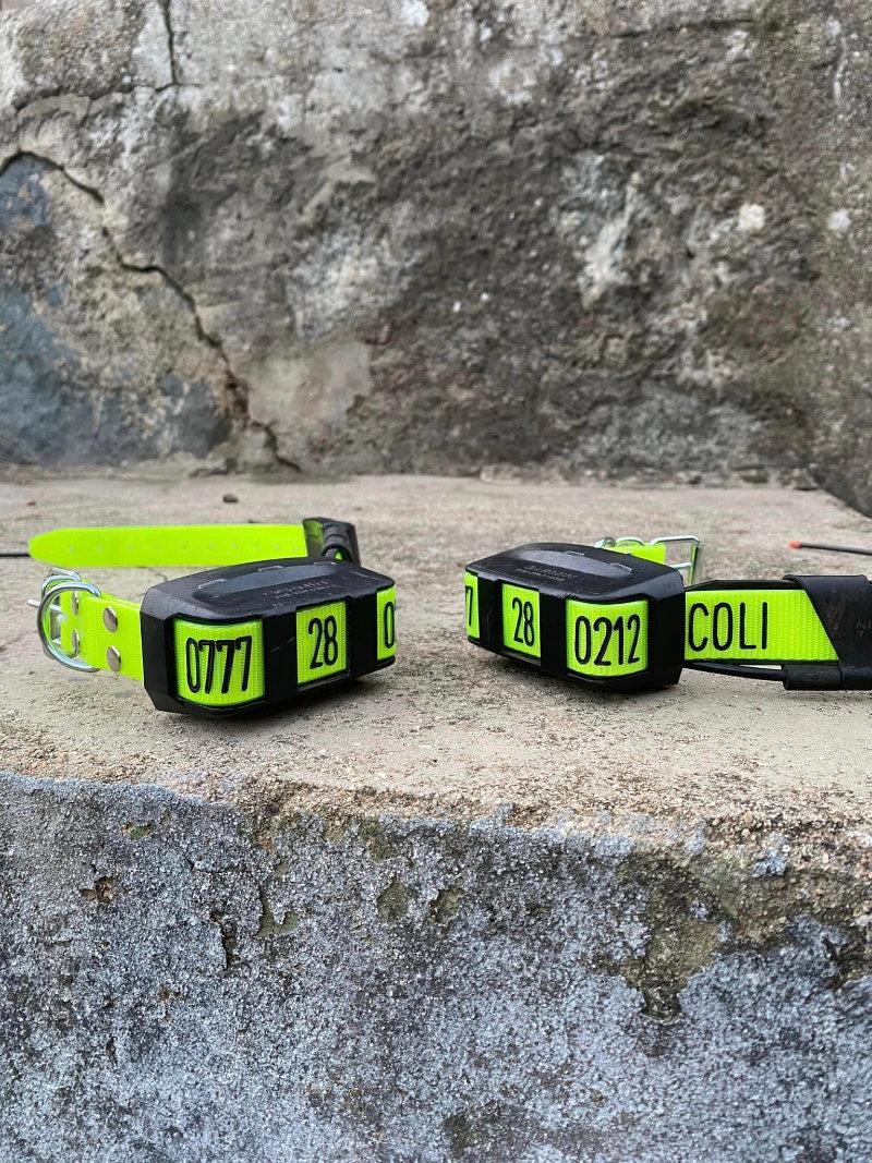 Colliers GPS (GARMIN / BITRABI)