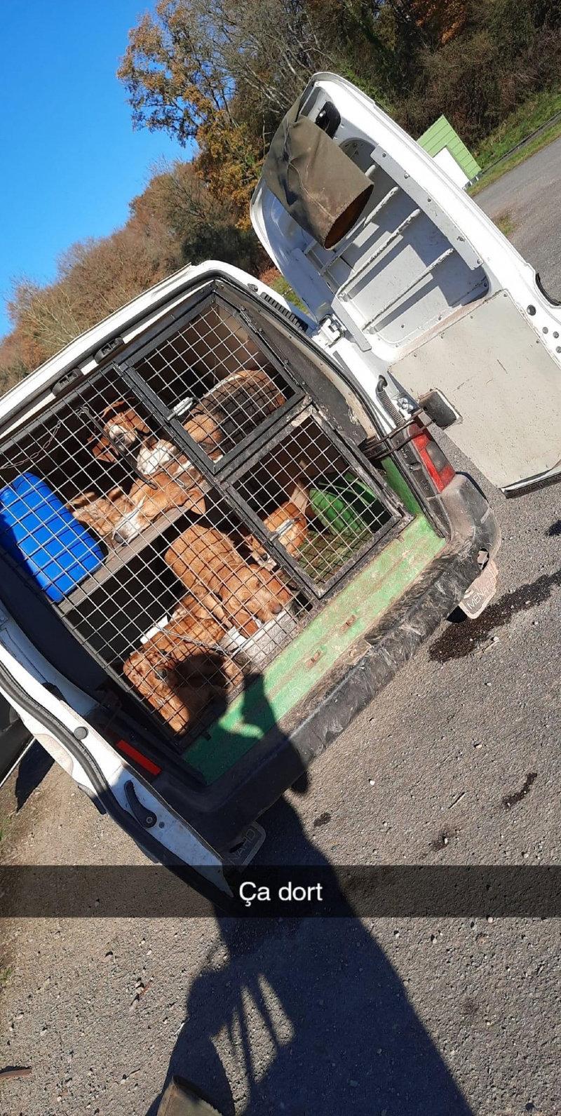 Vend grille + étage pour berlingo 