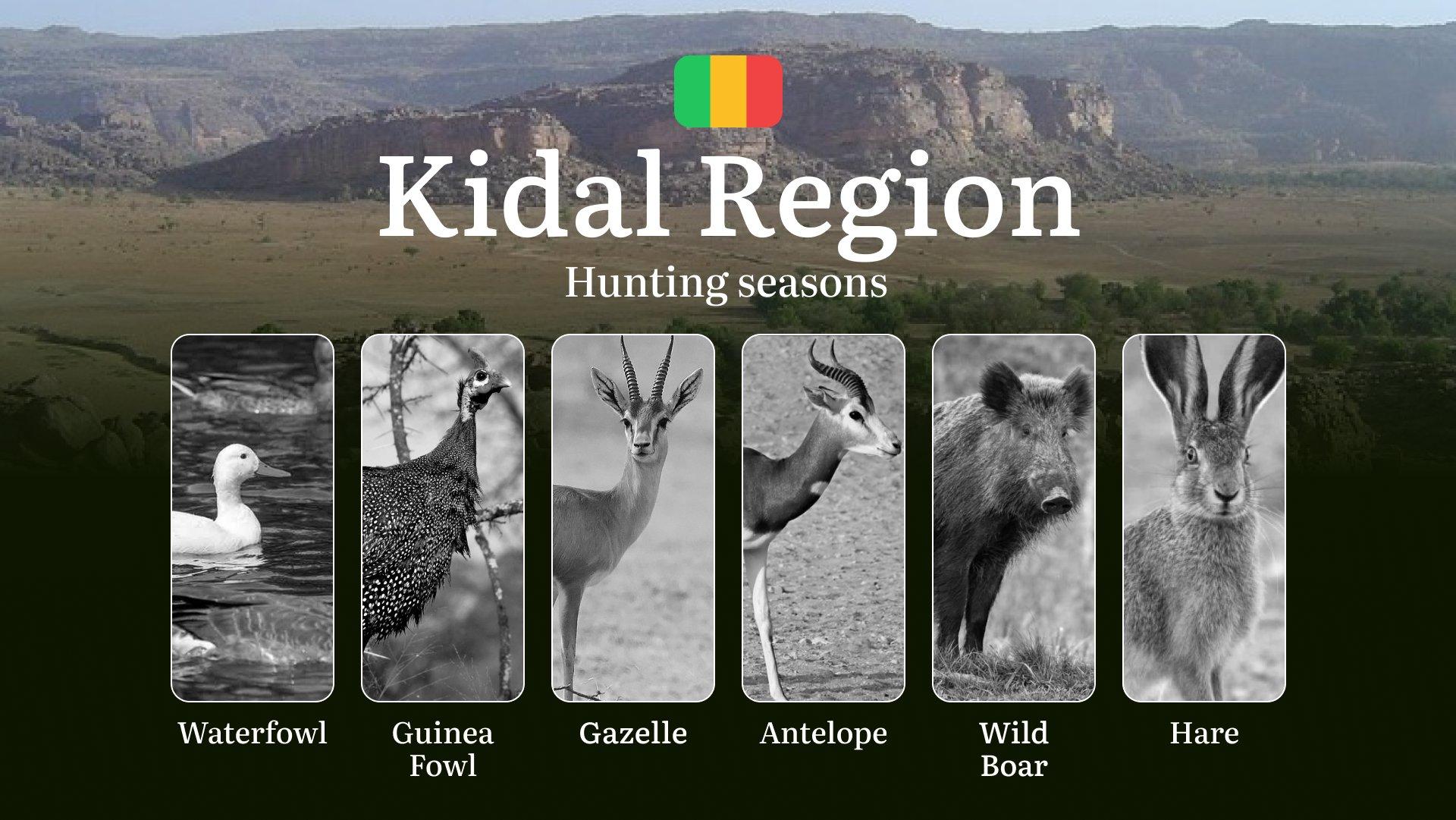 Hunting Season Schedule in Kidal Region: Year-Round Huntable Species, Game Movement by Season, and the Procedure for Obtaining an Official Hunting Permit