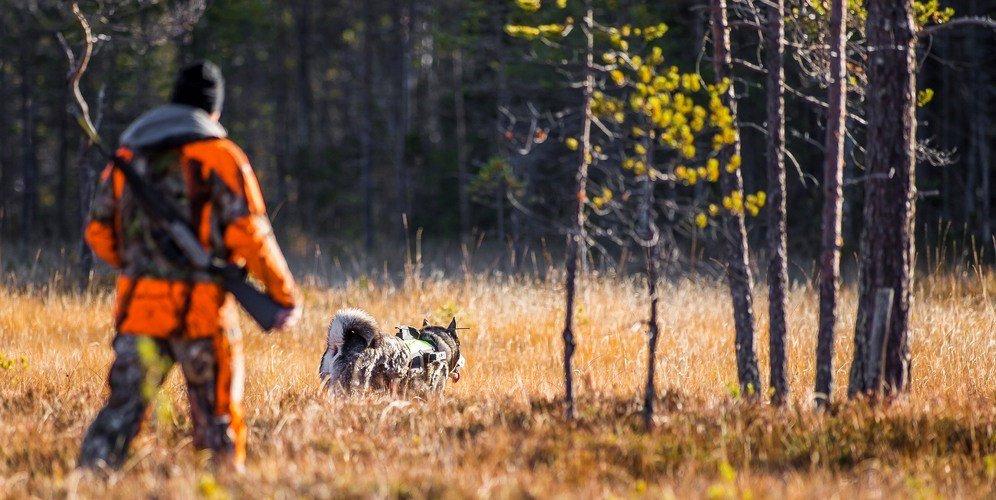 The Swedish Association for Hunting (Swedish: Svenska Jägareförbundet) is the largest organization in Sweden, founded in 1830, that brings together hunters and focuses on sustainable hunting, nature conservation, and natural resource management.