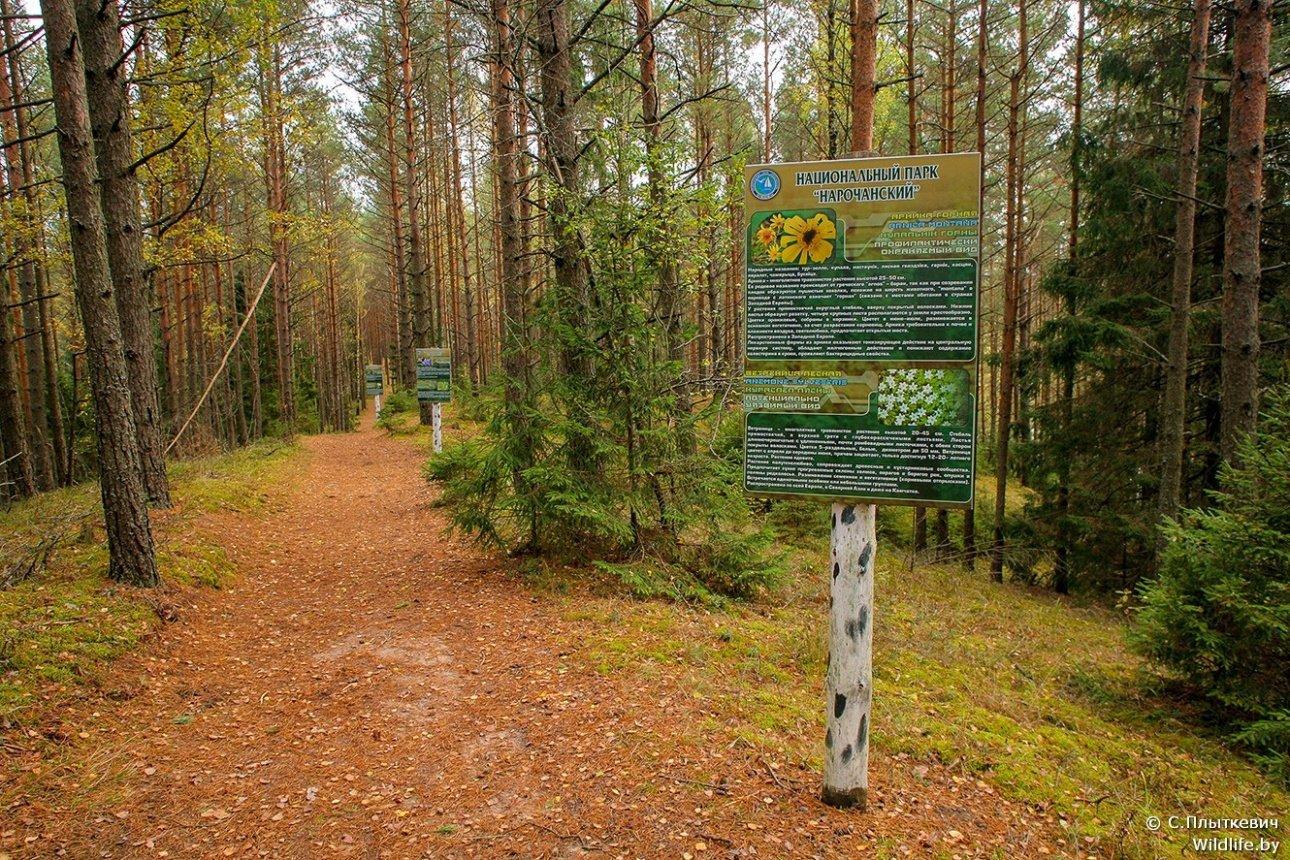 Гуляя по природному комплексу «Голубые озера», следует помнить о том, что здесь действует особый режим охраны.