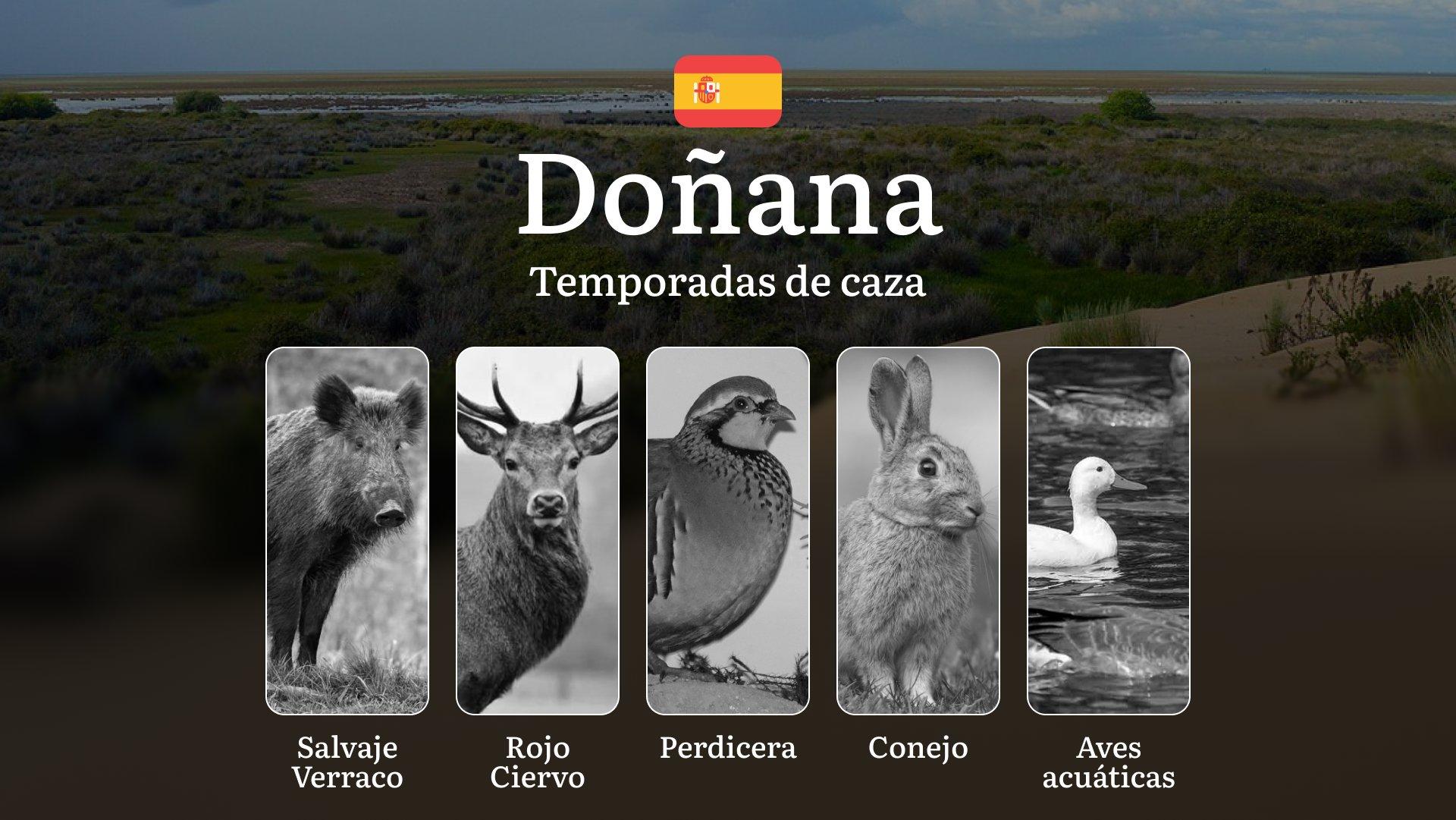 Gestión Cinegética en DOÑANA: Temporadas y períodos de caza, Cupos Estrictos, Licencias con Restricciones y Monitoreo Científico