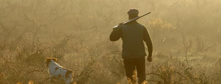 Bienvenue sur France Chasse