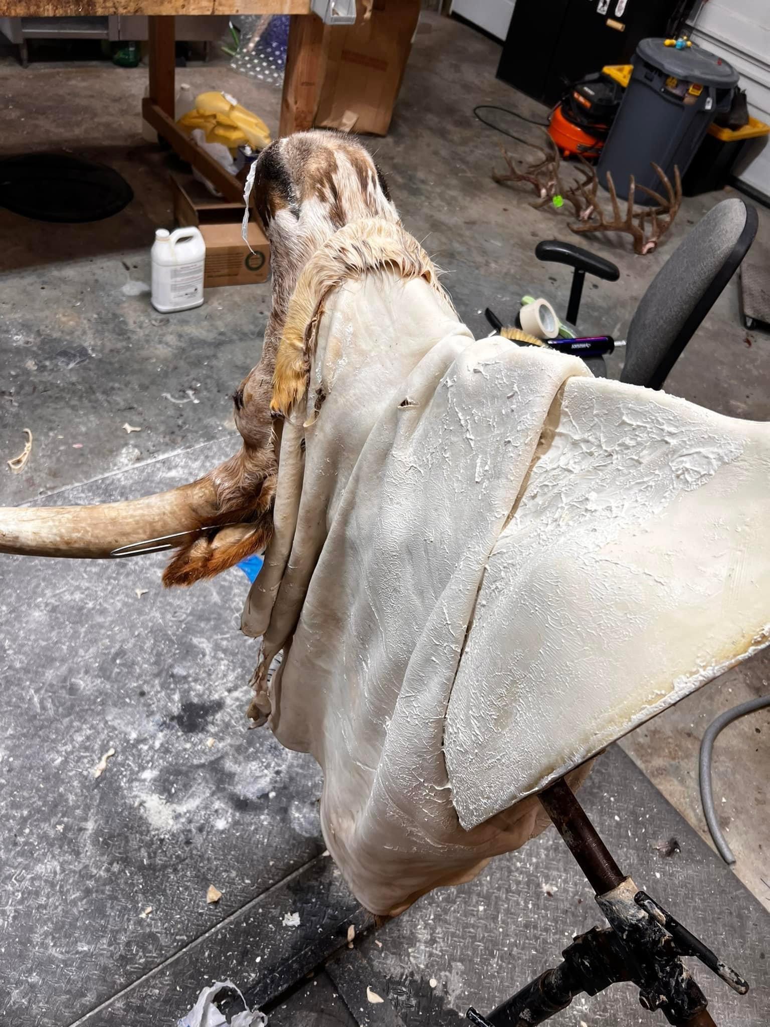 I threw together my first long #horn.