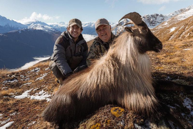 🇺🇸 I can’t get enough of this beautiful animal and the breathtaking mountains where they live!