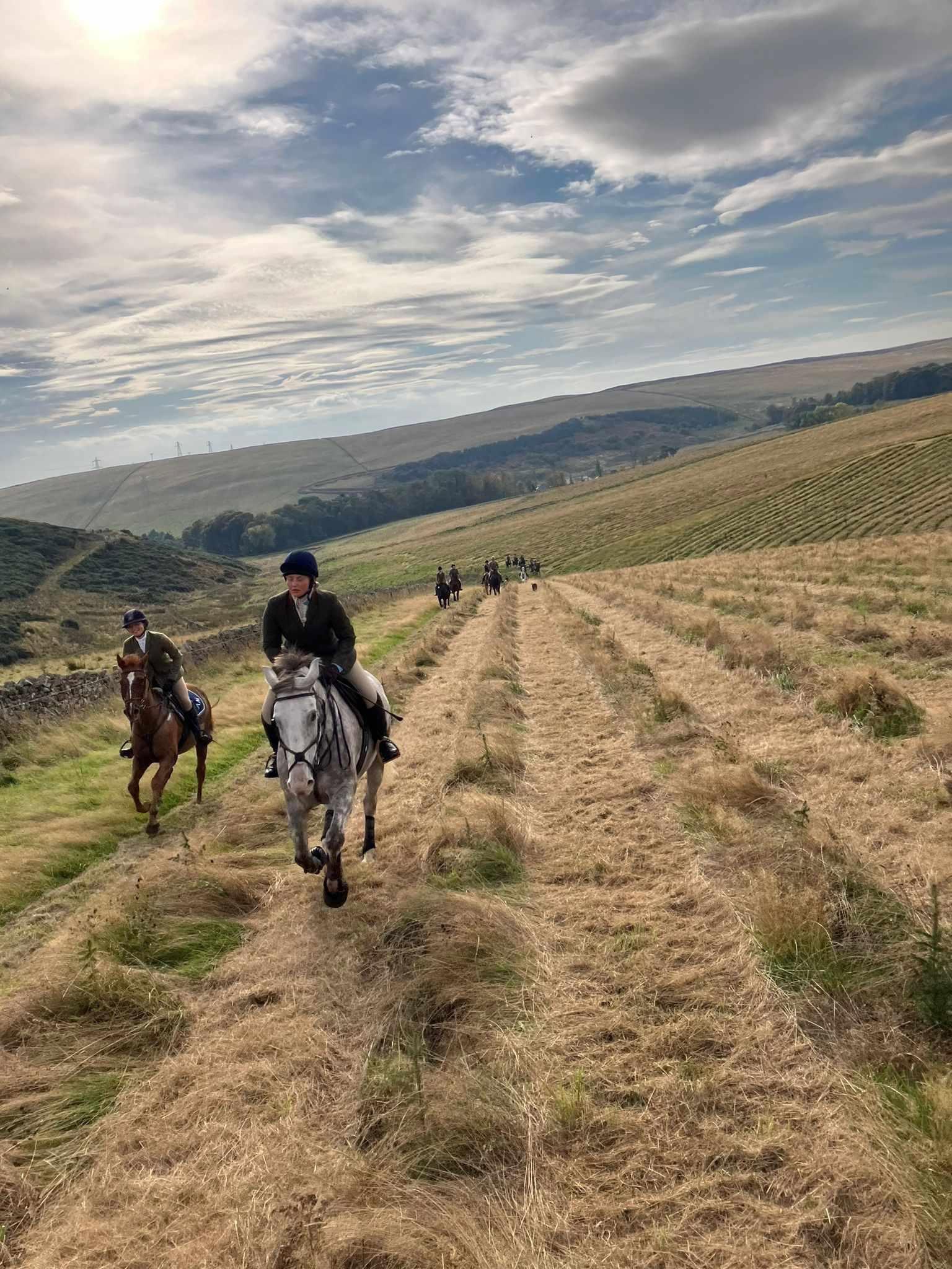 A Day Full of Fun with Hounds, Horses, and Humans!