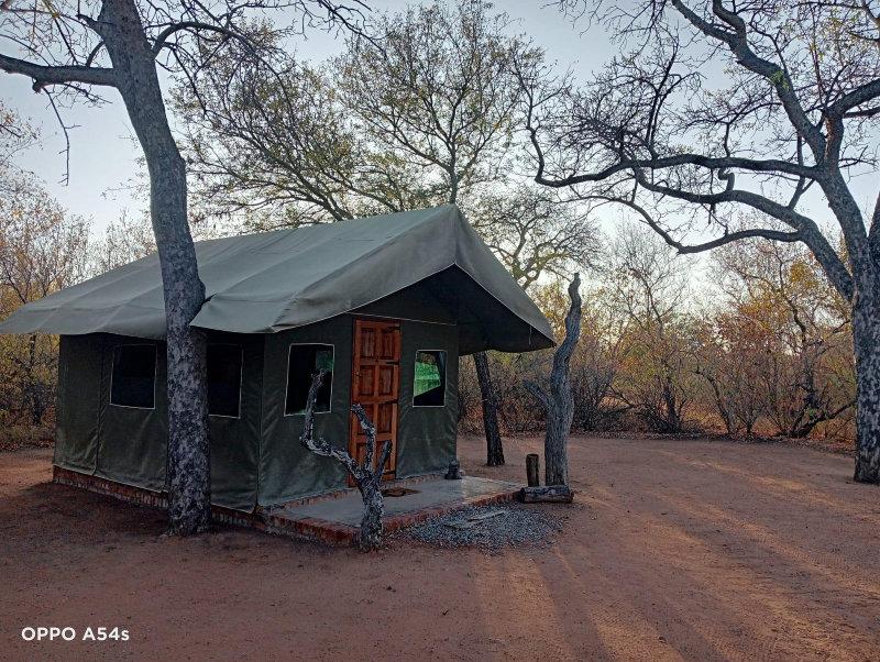 Enjoy traditional African, luxurious tented Safaris 