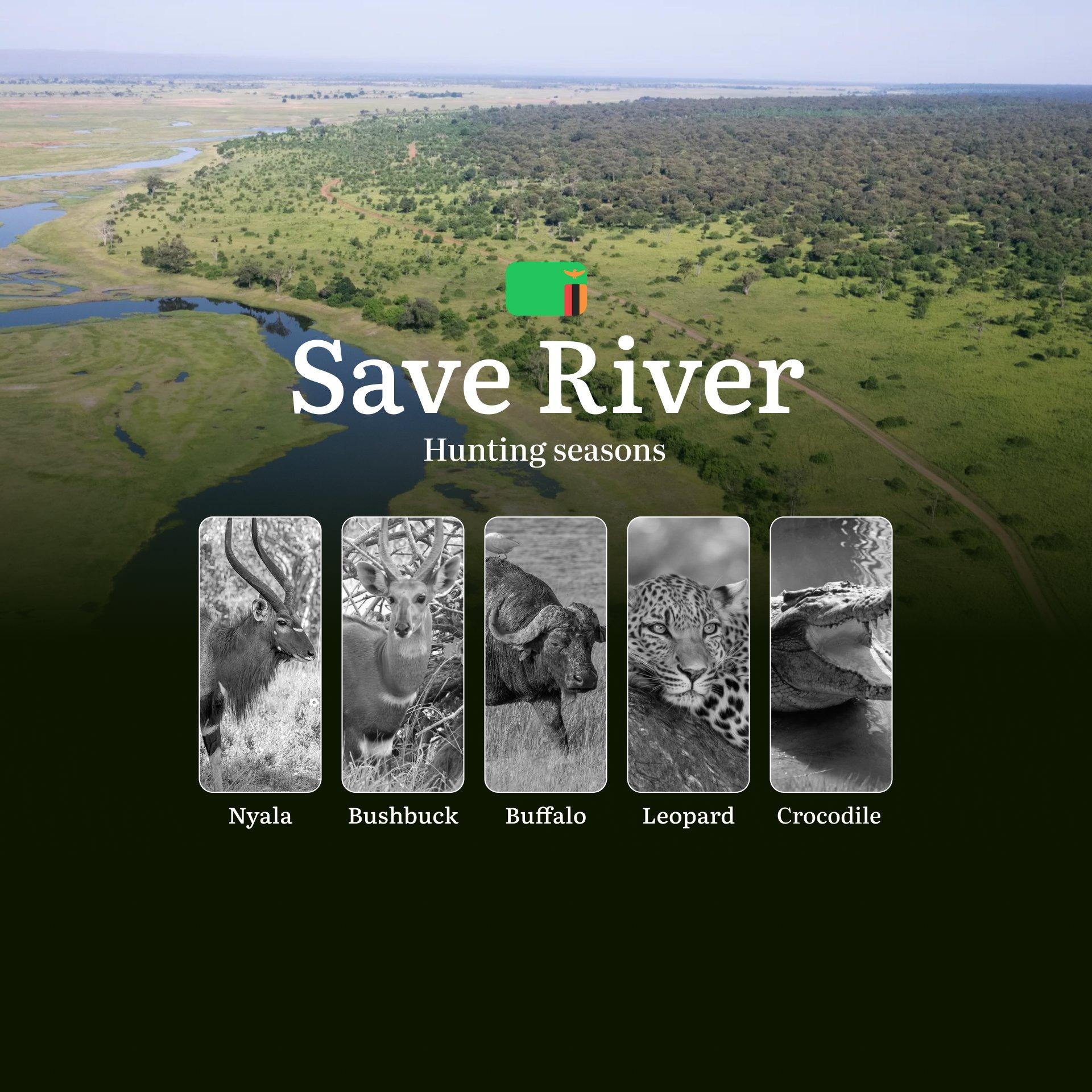 Save River Hunting Regulations and Seasonal Calendar: Understanding Legal Requirements, Game Availability, and Conservation Practices in Zimbabwe