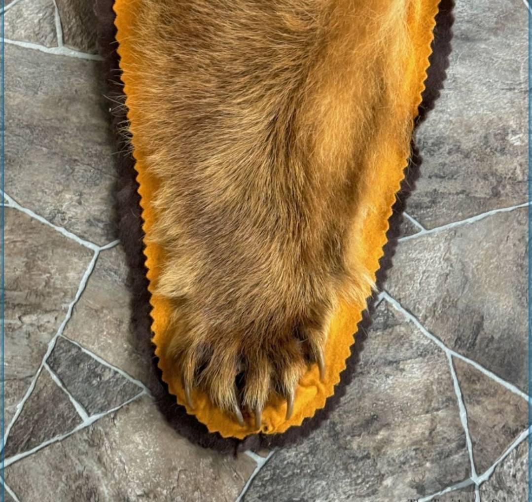 BROWN BEAR FULL-SIZE TAXIDERMY RUG FOR SALE